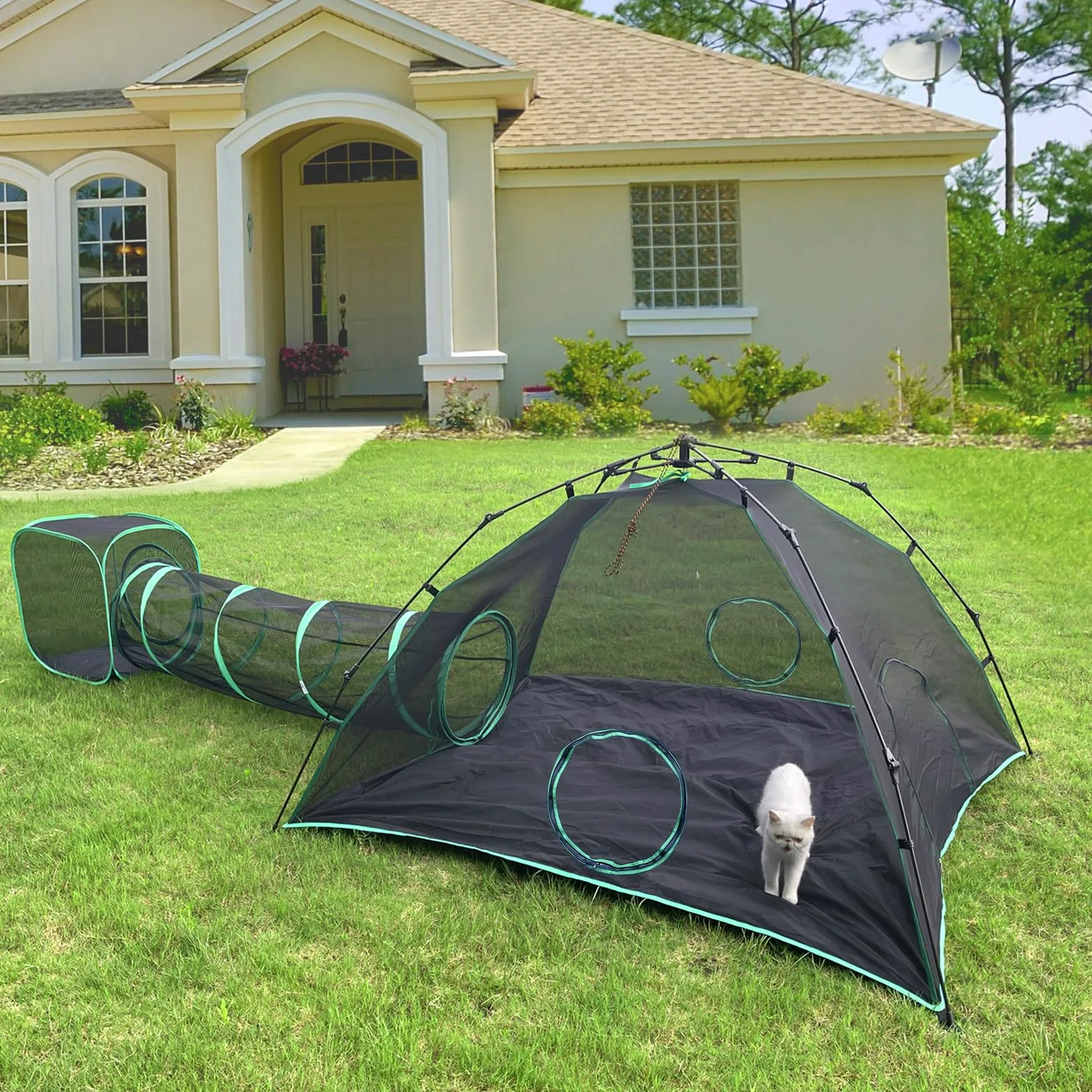 Pawtenda Recinzioni per gatto 3 in 1, portatile, per esterni, con 1 tenda a cupola, 1 tunnel dritto e 1 cubo, box all'aperto per gatto, conigli e altri animali