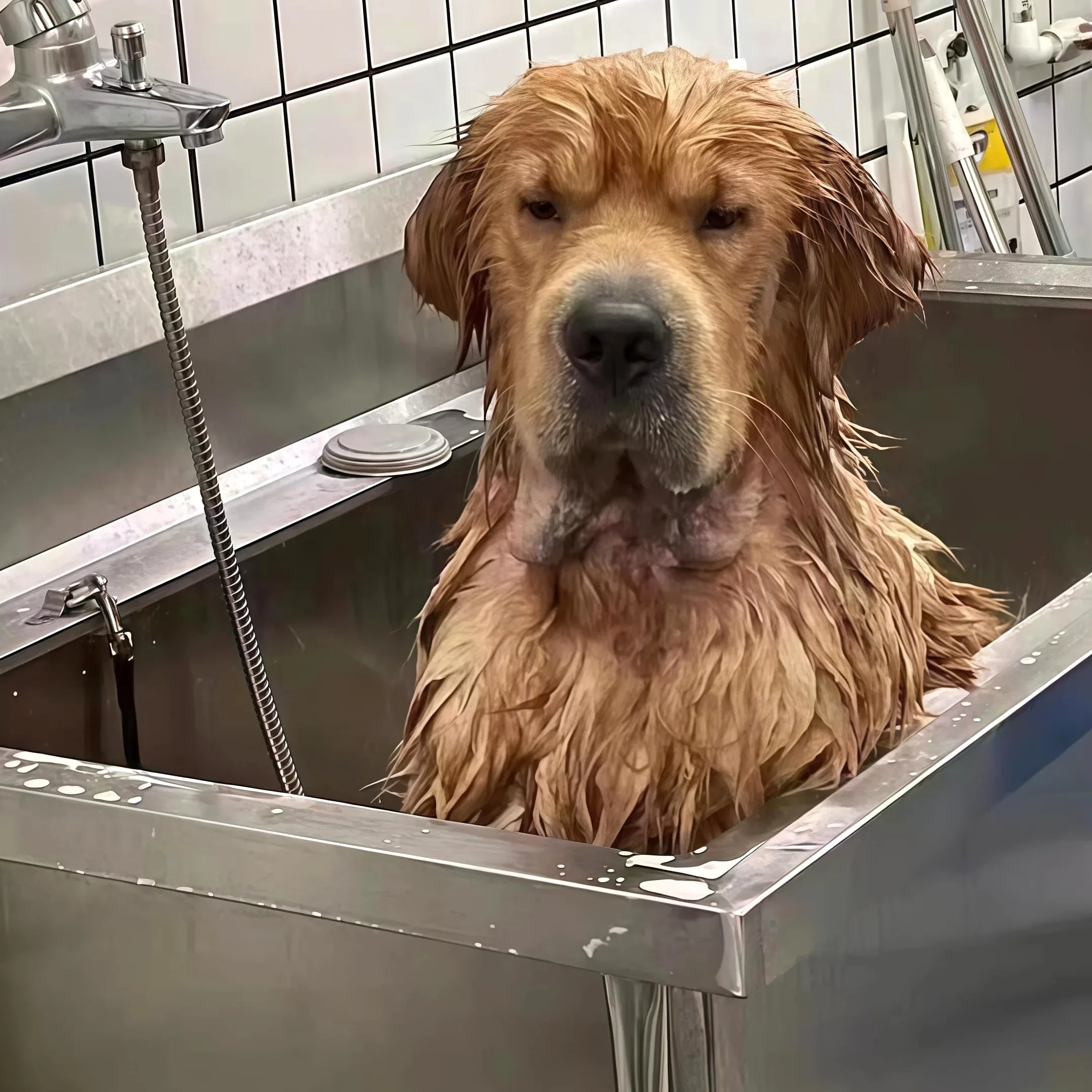 Vasca da Bagno per Cani in Acciaio Inox 304, Vasca Toelettatura Professionale con Pedana di accesso e Porta Scorrevole, Stazione Lavaggio Cani Antiscivolo con Miscelatore fino a 100 kg (47.24in)