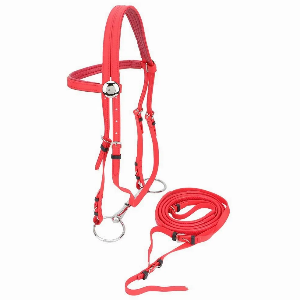 Briglia per Cavalli, Briglia per Cavalli Regolabile in PVC Briglia di Rinforzo Headstalls Snaffle Vuoto Rimovibile in Acciaio Inossidabile LT5004