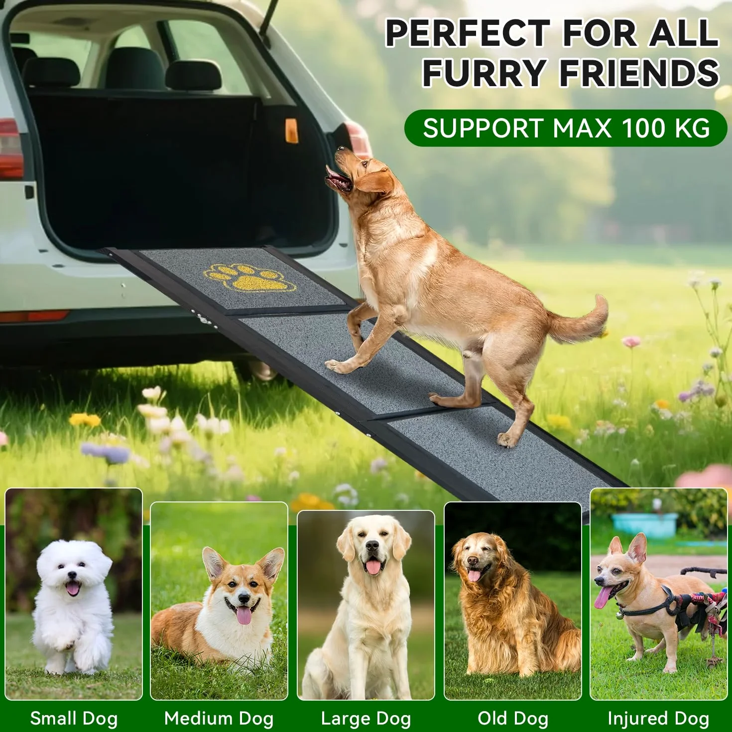 Rampa per Cani Auto Pieghevole 170 x 50 cm Grigio, con Superficie in Moquette Antiscivolo, Fino a 70 kg, Leggera in Alluminio per Animali Domestici, per Auto, Camion, SUV e Scale Esterne