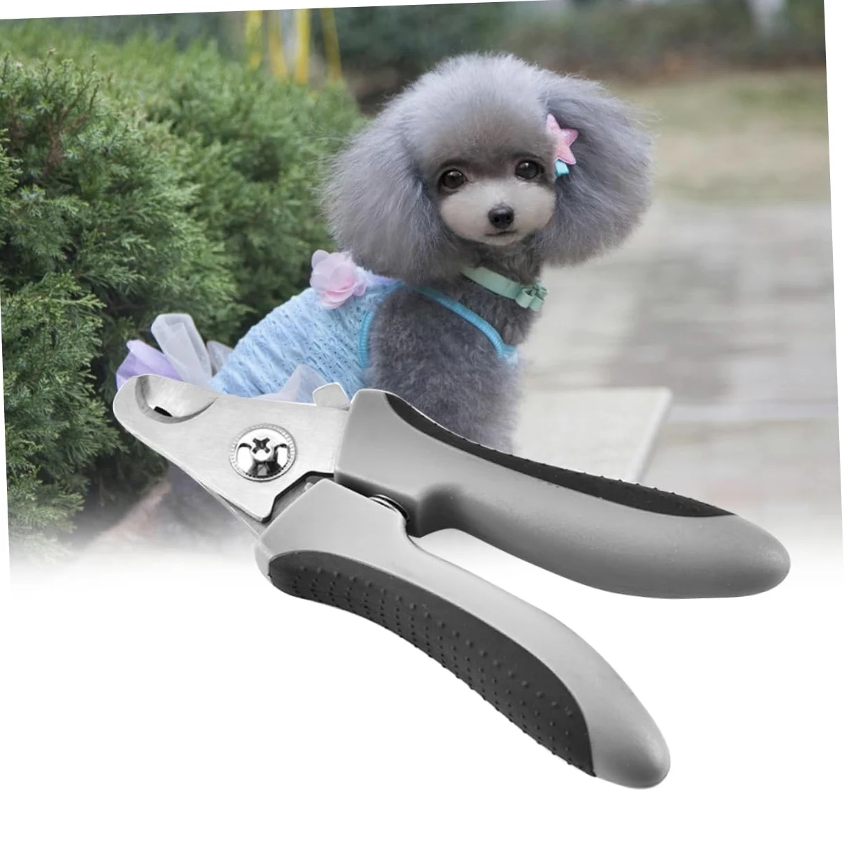 Sosoport 2pezzi per Unghie per Domestici Cesoie per Inossidabile Design Colore Casuale per Toelettatura e
