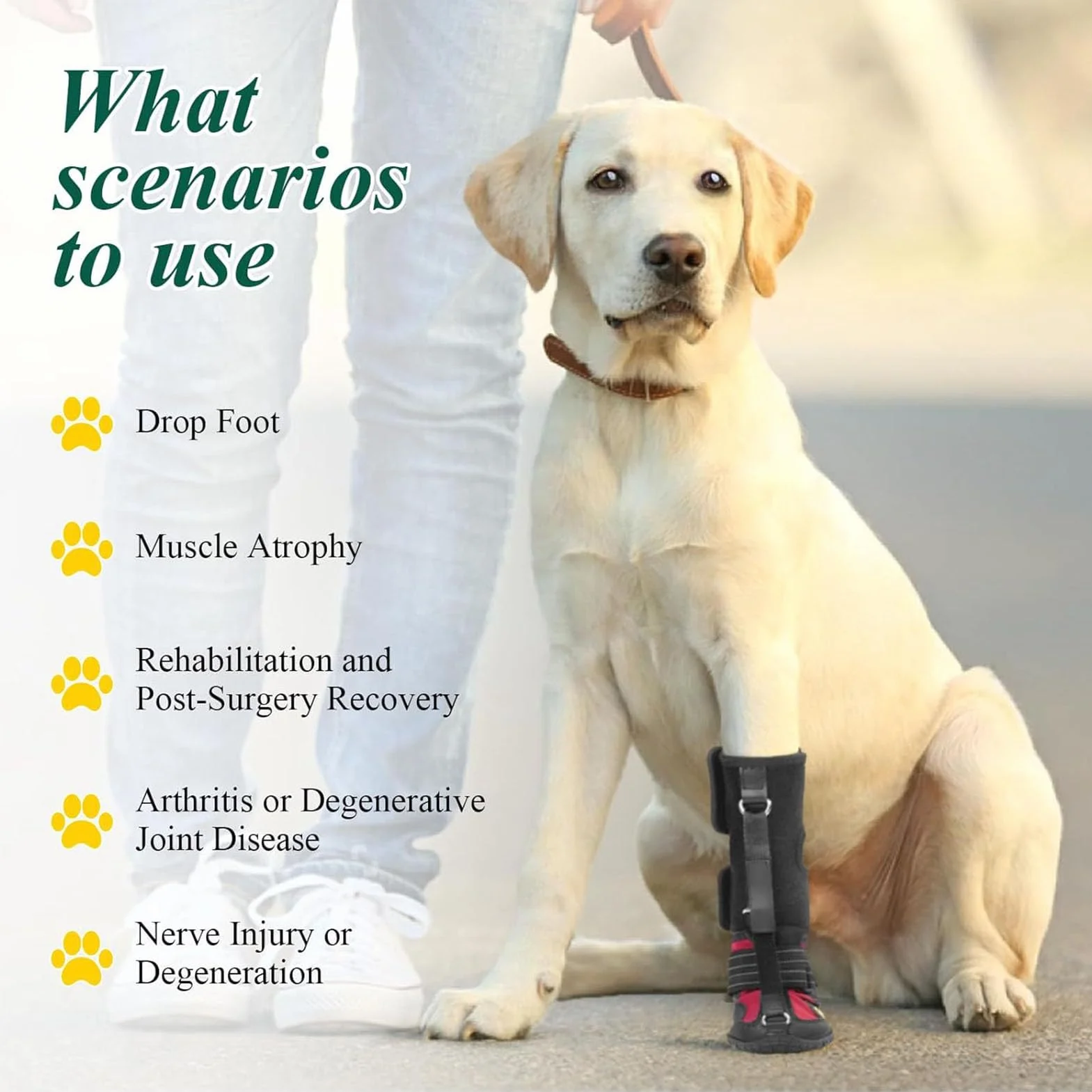 Fockety Tutore per Piede Cadente, Protezione per il Piede dello Stivale per Cani con Fondo Traspirante e Antiscivolo, Scarpe Correttive per Cani per Sollevare in Sicurezza le Dita dei (XL)