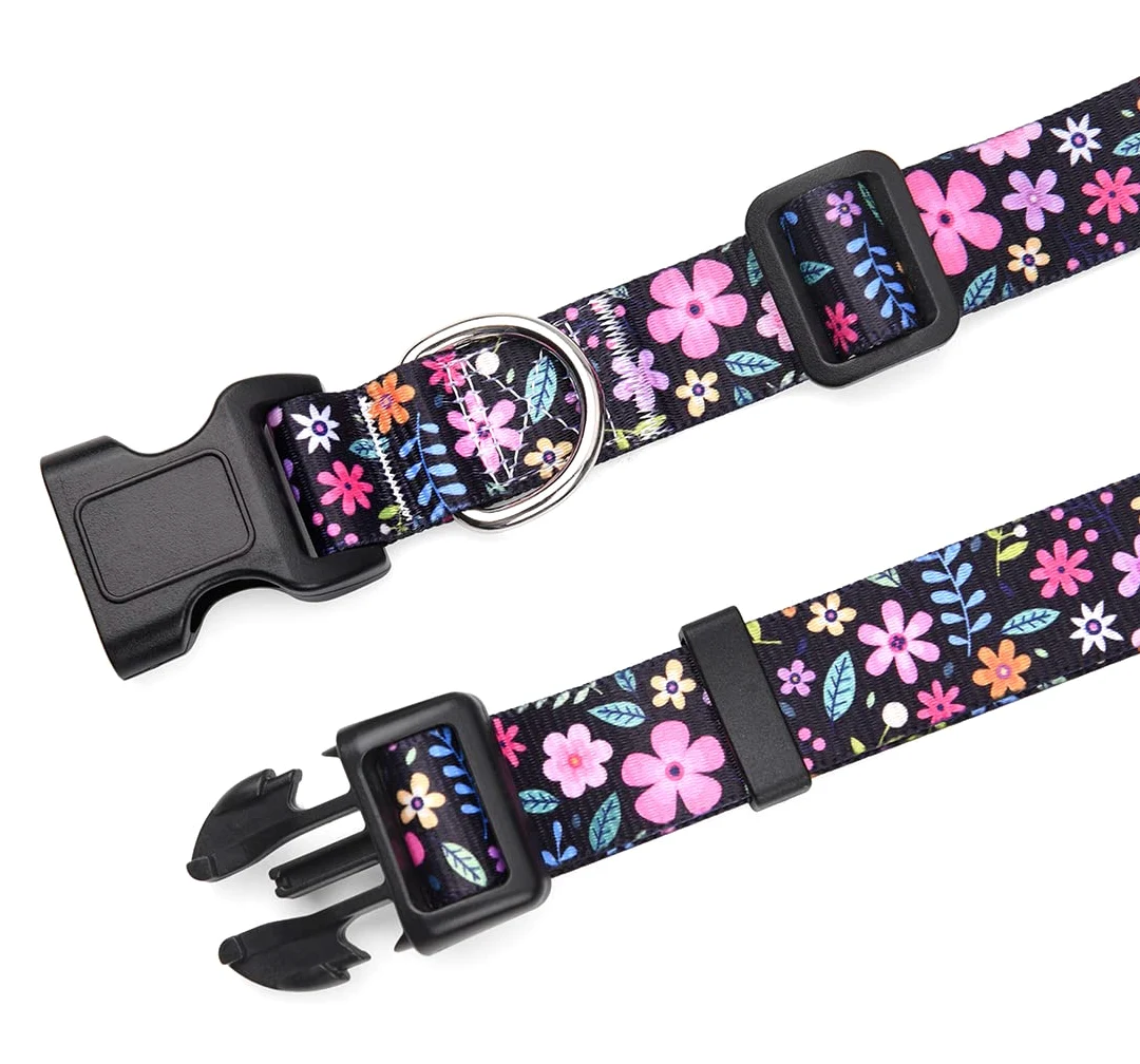 Collari per cani, morbidi e comodi collari imbottiti con fibbia in metallo, personalizzati con nome dell'animale domestico e numero di telefono (XS, floreale)