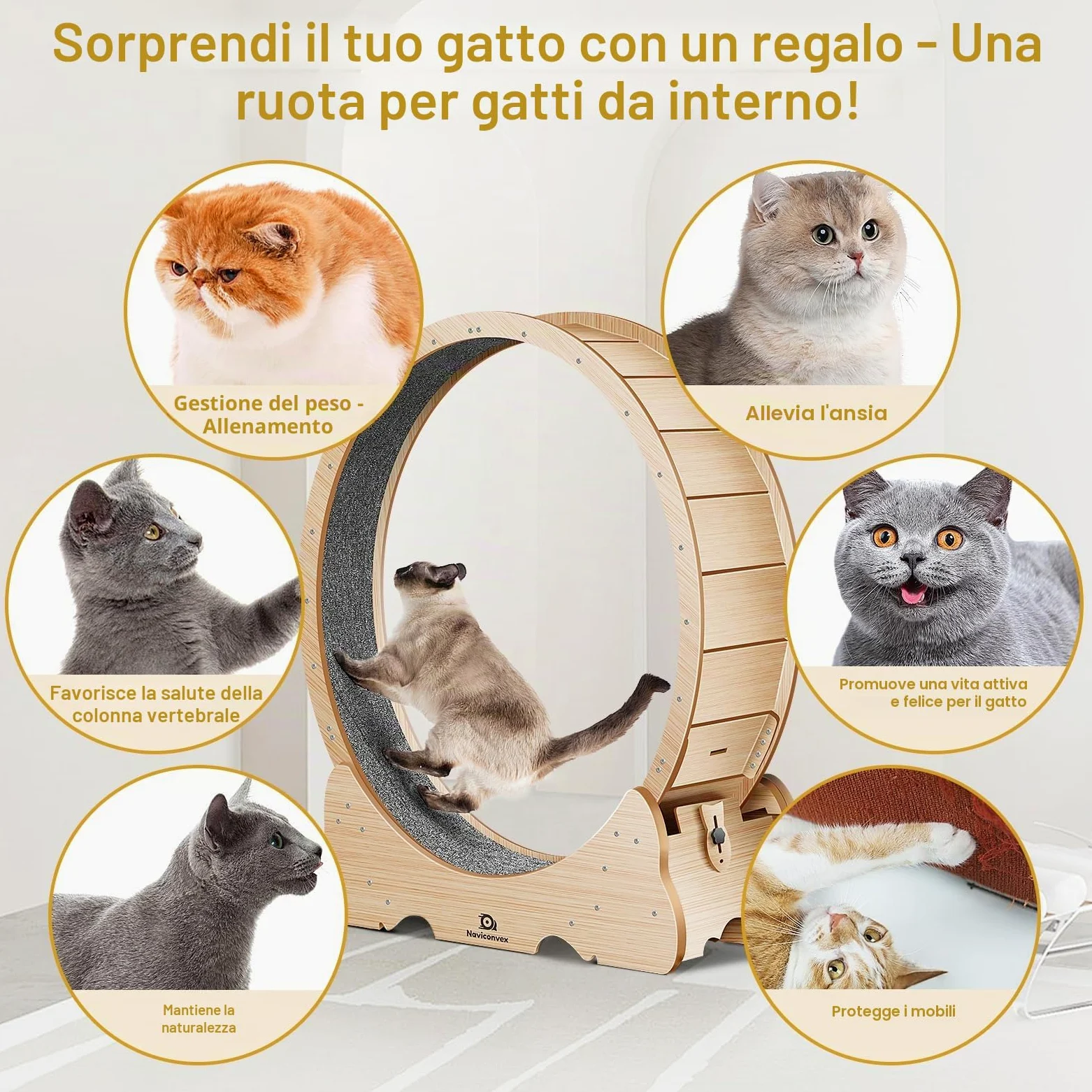 ruota per gatti XXL colore legno naturale – Ruota per gatto diametro 135cm, silenziosa e robusta per esercizio e intrattenimento in casa – Design elegante, ideale per gatti grandi e attivi