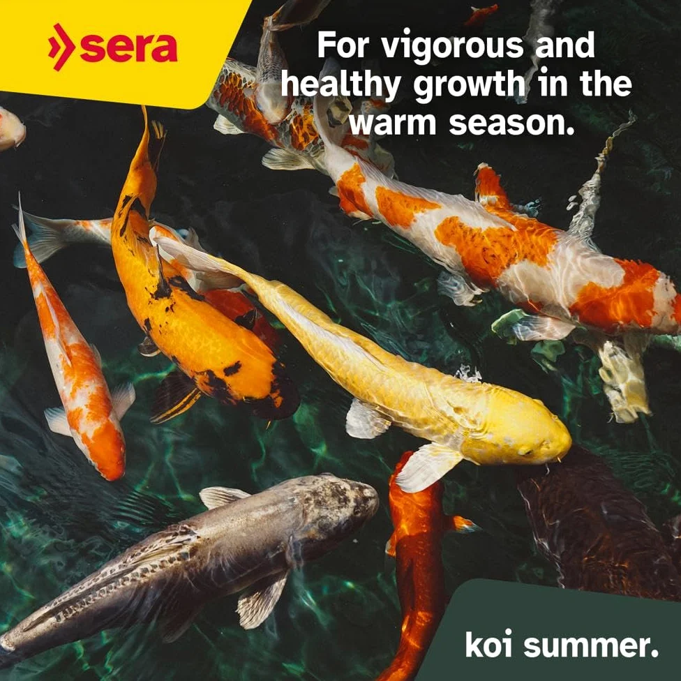 sera koi professional summer 2,2 kg | mangime per Koi 2.200 g | per temperature calde | ottimale contenuto di sostanze nutritive