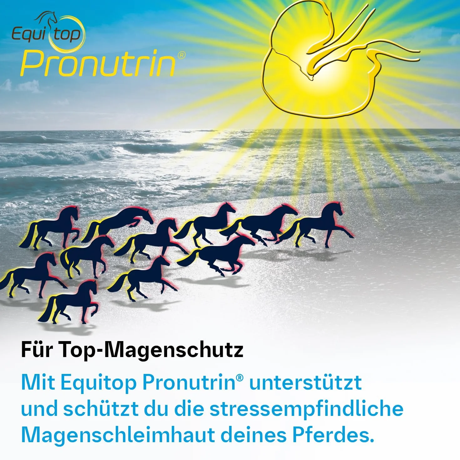 Altro BOEHRINGER INGELHEIM EQUITOP PRONUTRINA 3.5KG