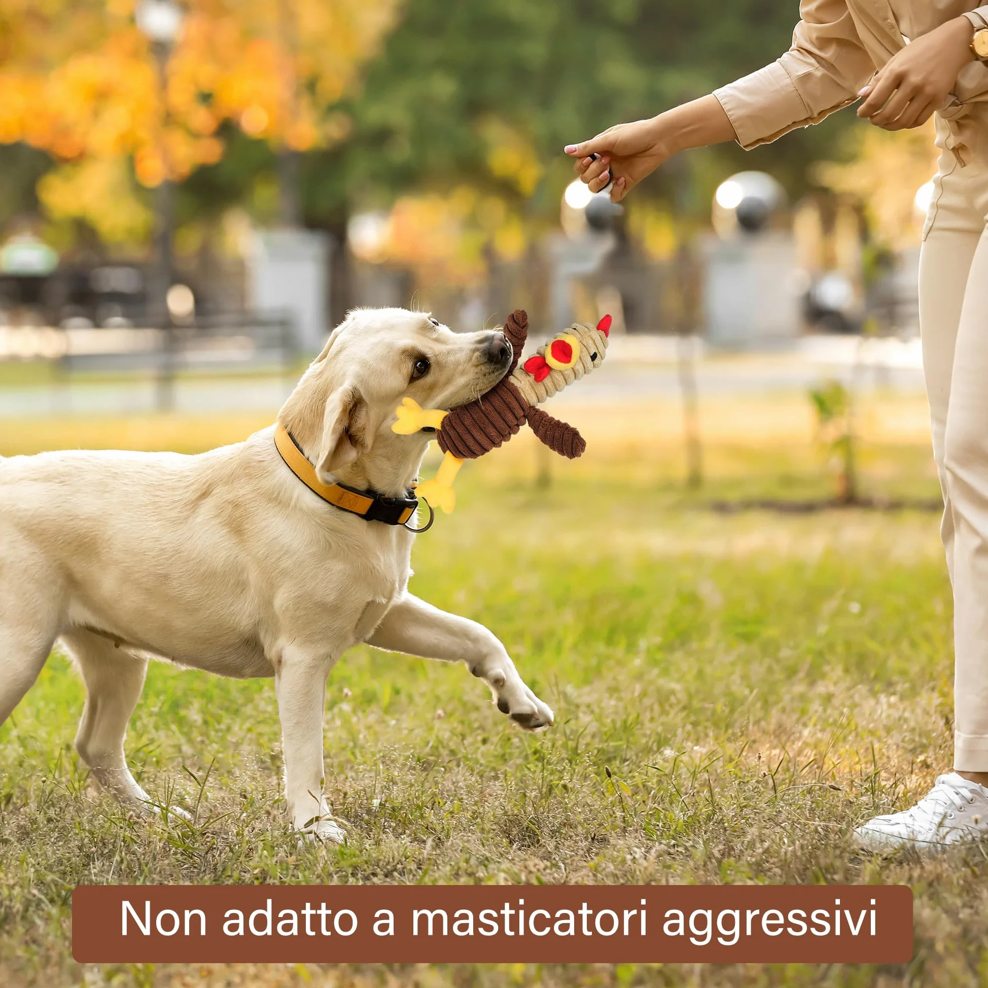 PrimePets Peluche per Cani, 5 Pezzi Giochi Cane con Squeak, Giocattoli per Cani, Peluche Cane, Giocattolo Interattivo (Animali Fattoria)