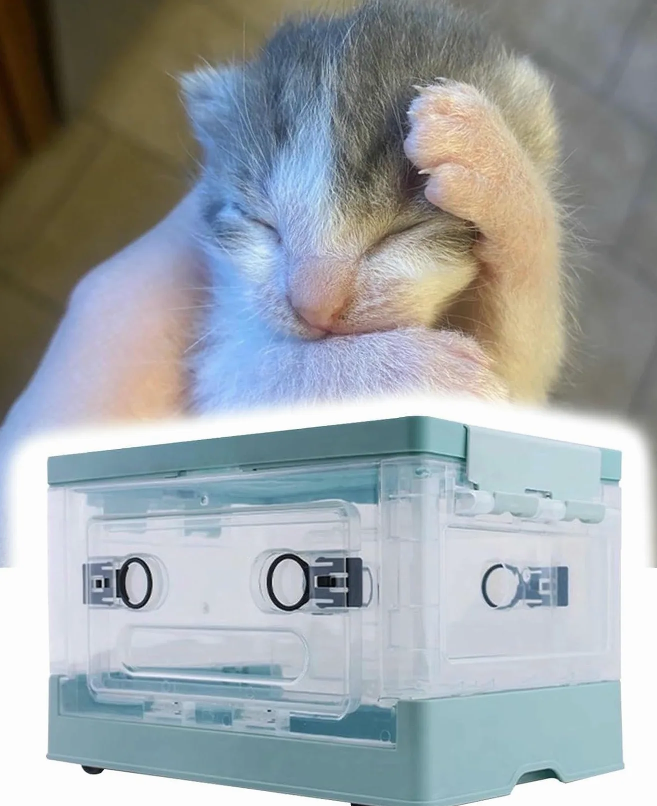 Camera portatile di ossigenoterapia per animali domestici, uso domestico e veterinario