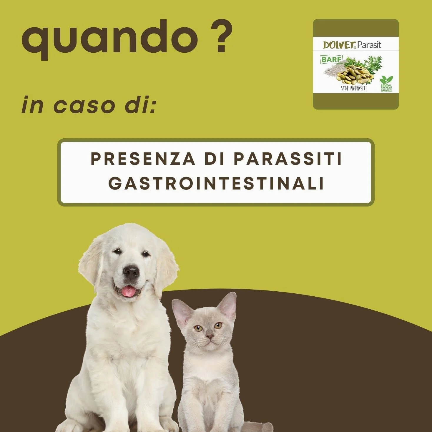 Dolvet Parasit Vermifugo per Cani e Gatti 70 grammi, Formulazione naturale sverminante, Combatte i Parassiti e Vermi dell'Intestino - Linea BARF