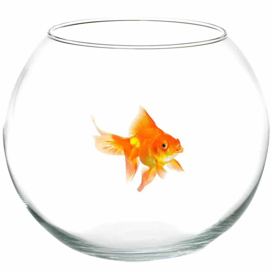 Trade Shop - Ampolla Boccia per Pesci in Vetro 30 Cm Acquario Pesce Rosso Centrotavola