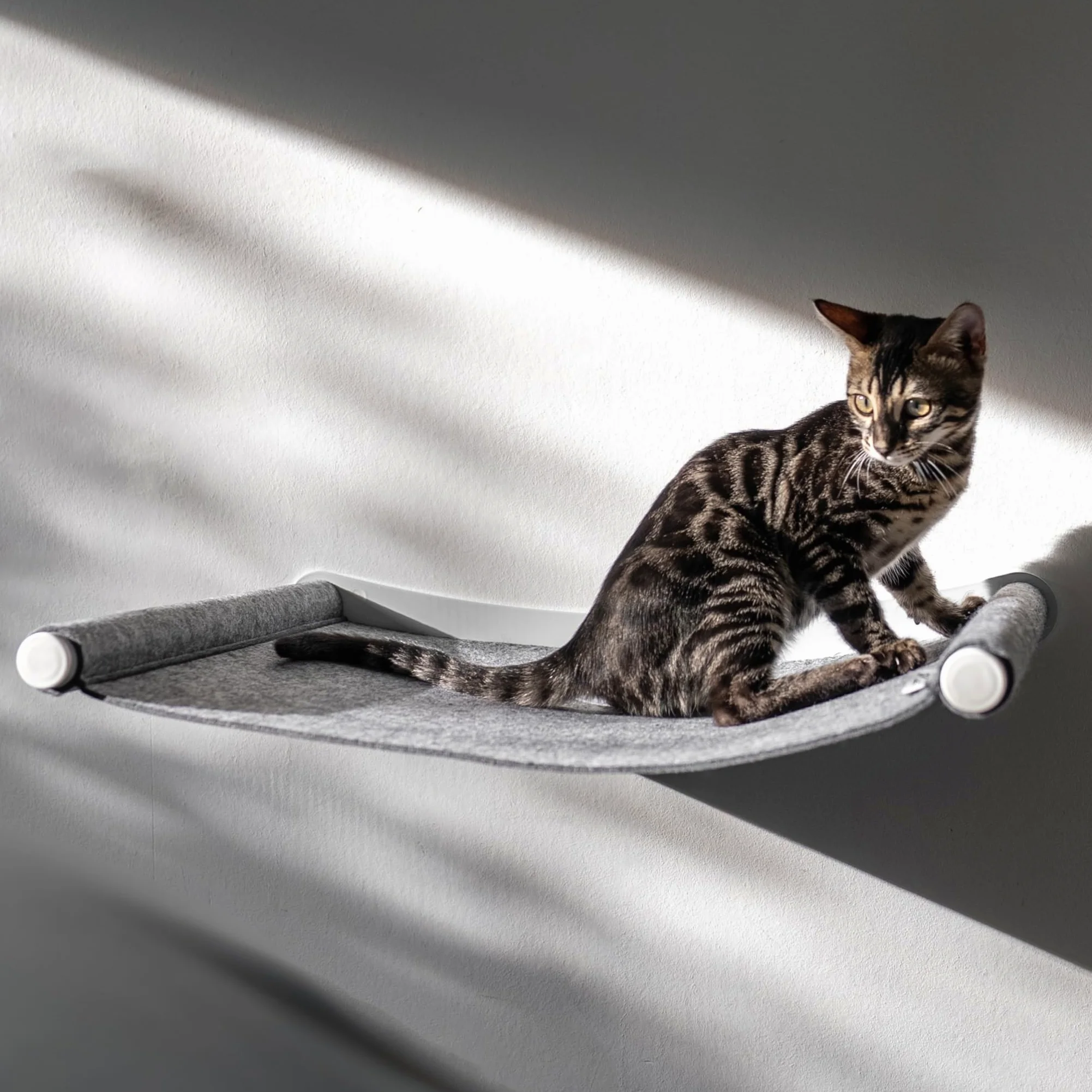 AZANO Amaca per gatti XL, in metallo, design da arrampicata a parete per gatti, extra grande e stabile, colore grigio
