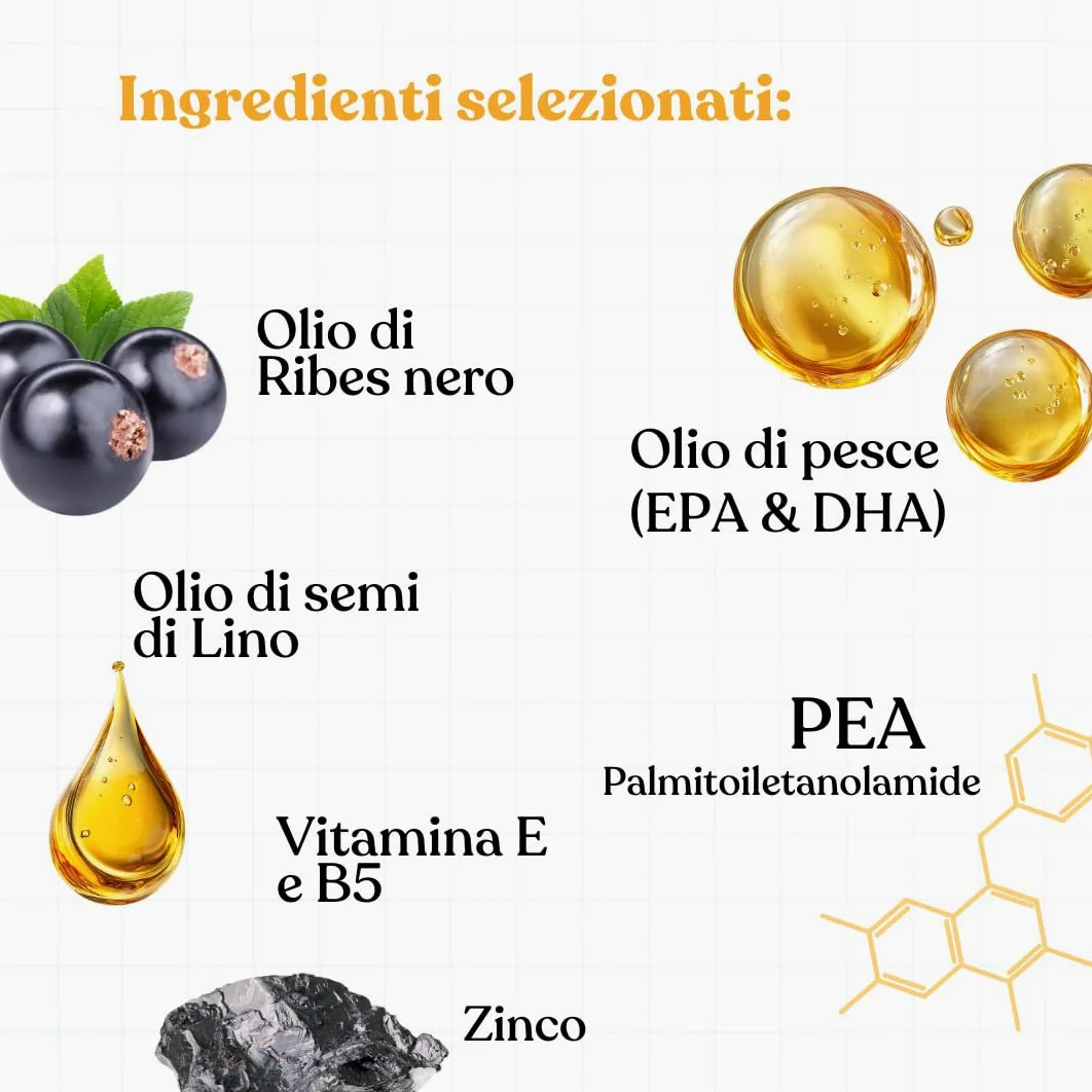 Bau Dermatite Cane e Prurito in Pasta – Stop Dermatosi Integratore Pelle e Mantello – per Perdita Pelo, Cute Irritata e Forfora – Supporto Funzione Dermica in Stick Appetibili