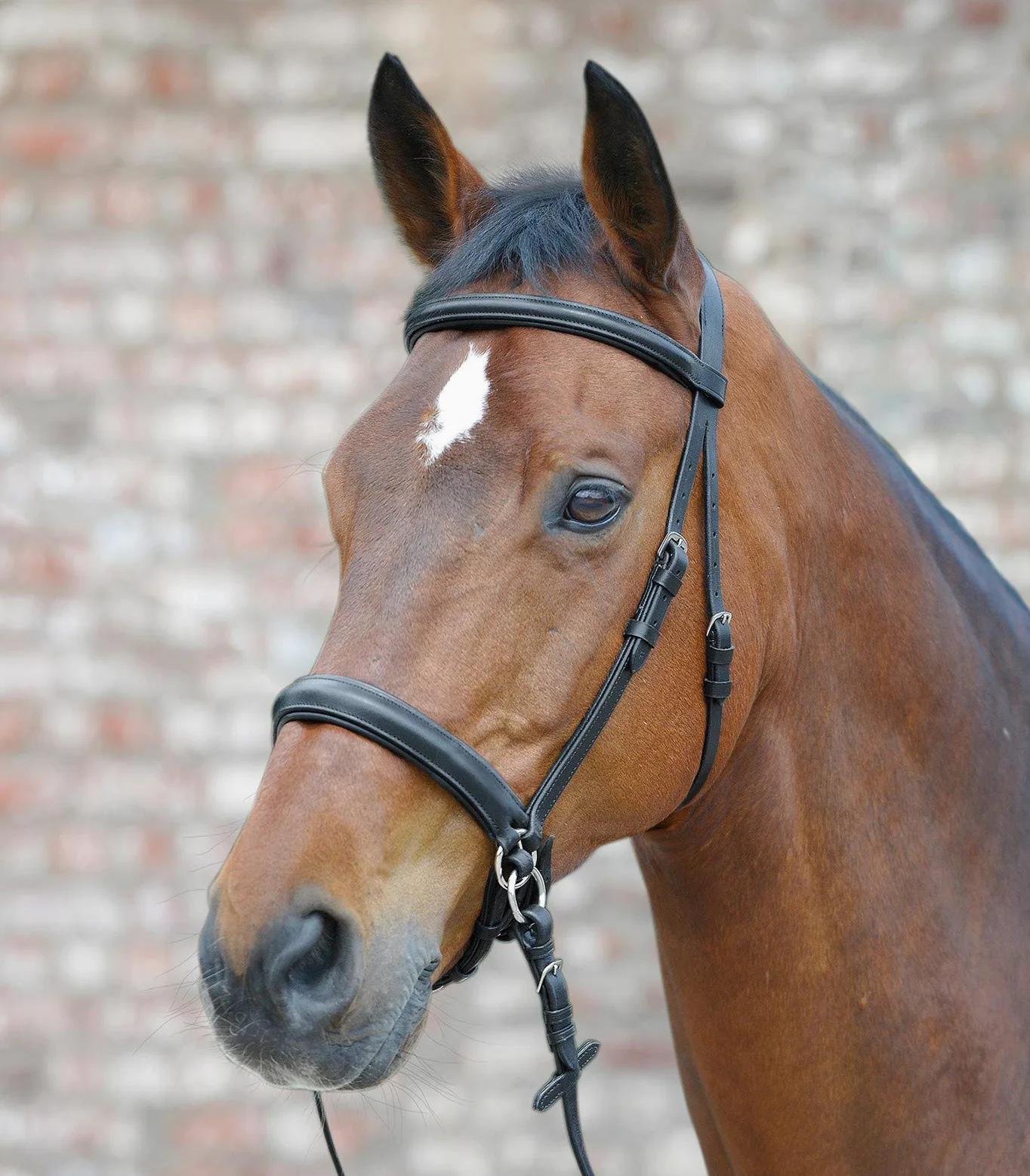 BRIDLE IN PELLE SENZA BITLESS STILE SCRAWBIG CON REINE MORBIDE COMPLETE - PANNOCCHIA - PONY (Cob)