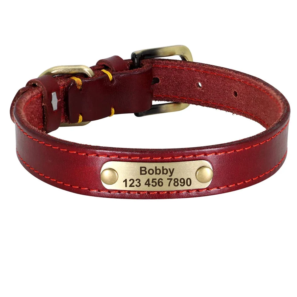 LYVQZPWLRIl Cane Porta, Guinzagli for Animali Domestici, Collare in Pelle Personalizzato for Cani, Fibbia in Pelle Dorata, Collare identificativo for Animali Domestici(Red,XS)