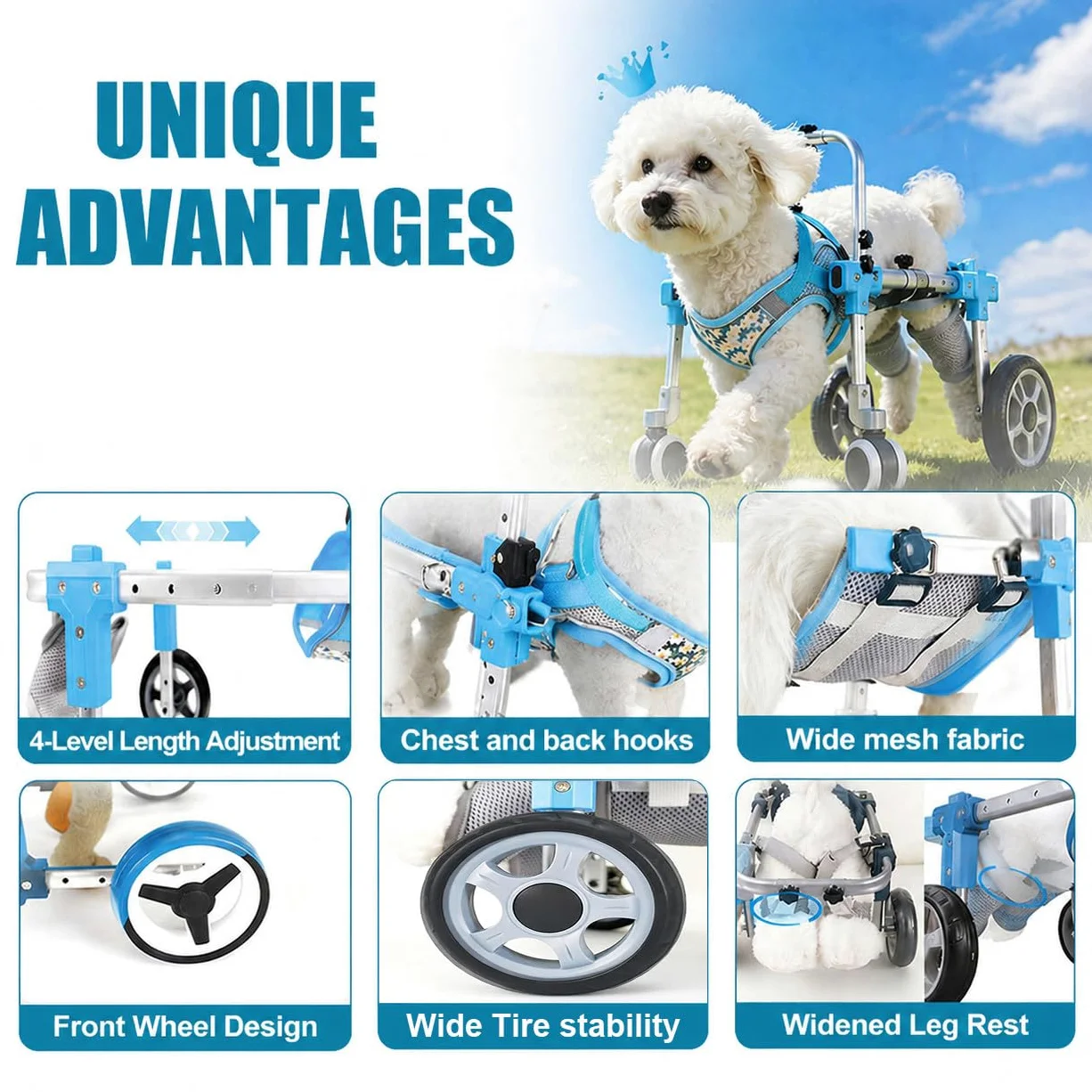 Carrellino per Cani, Supporto Zampe Posteriori, Ausilio Mobilità Regolabile Black-M | Con Supporto per Zampe Posteriori E Addome, Ideale per Cani E Gatti Con Lesioni O Problemi Di Mobilità