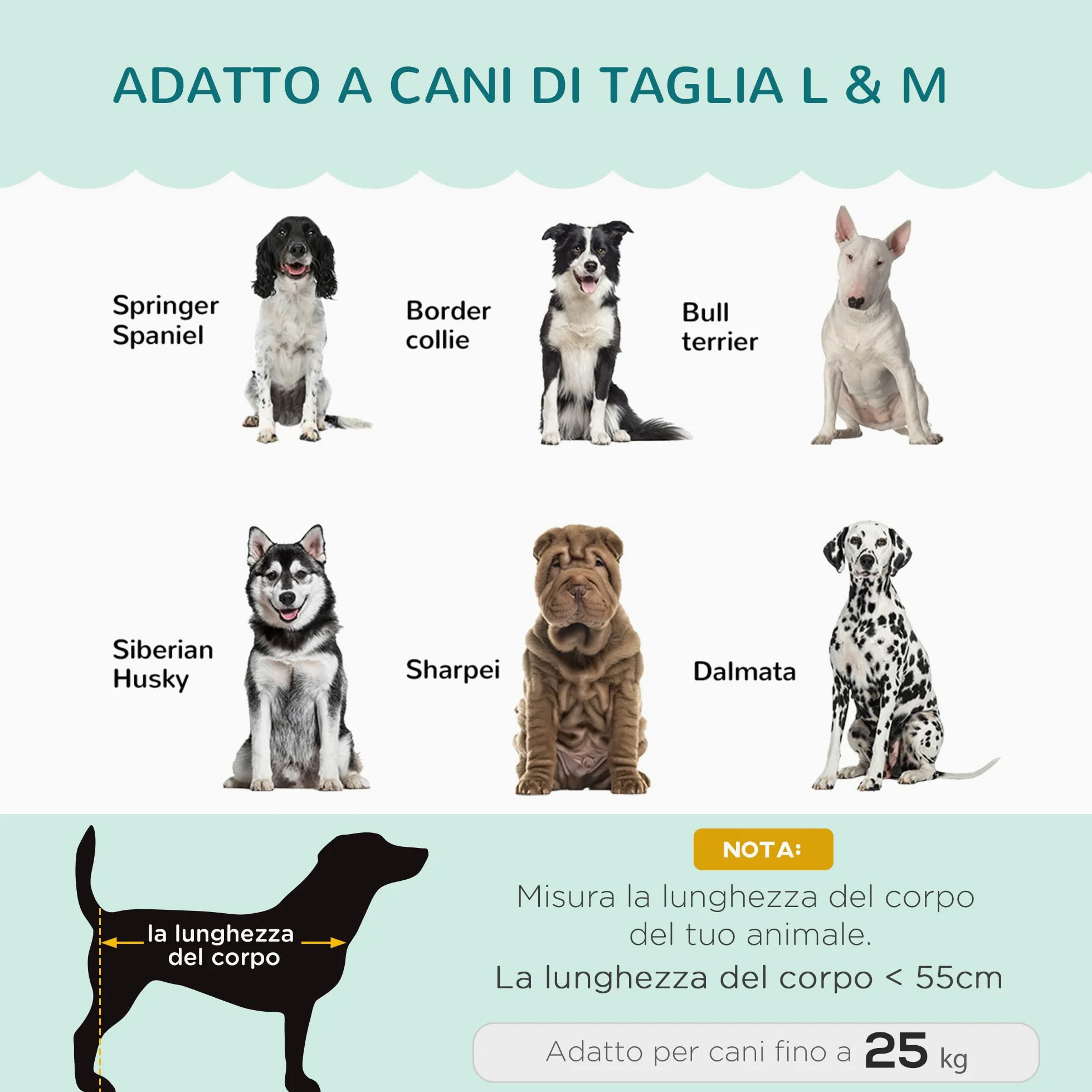 PawHut Divano per Cani Taglia Medio-Grande max. 32kg con Rivestimento Verde Sfoderabile e Lavabile