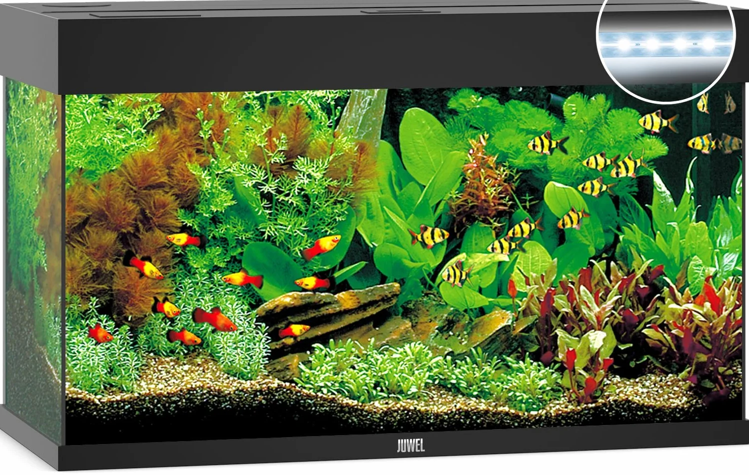 Juwel Aquarium 01350 Rio 125 LED, nero