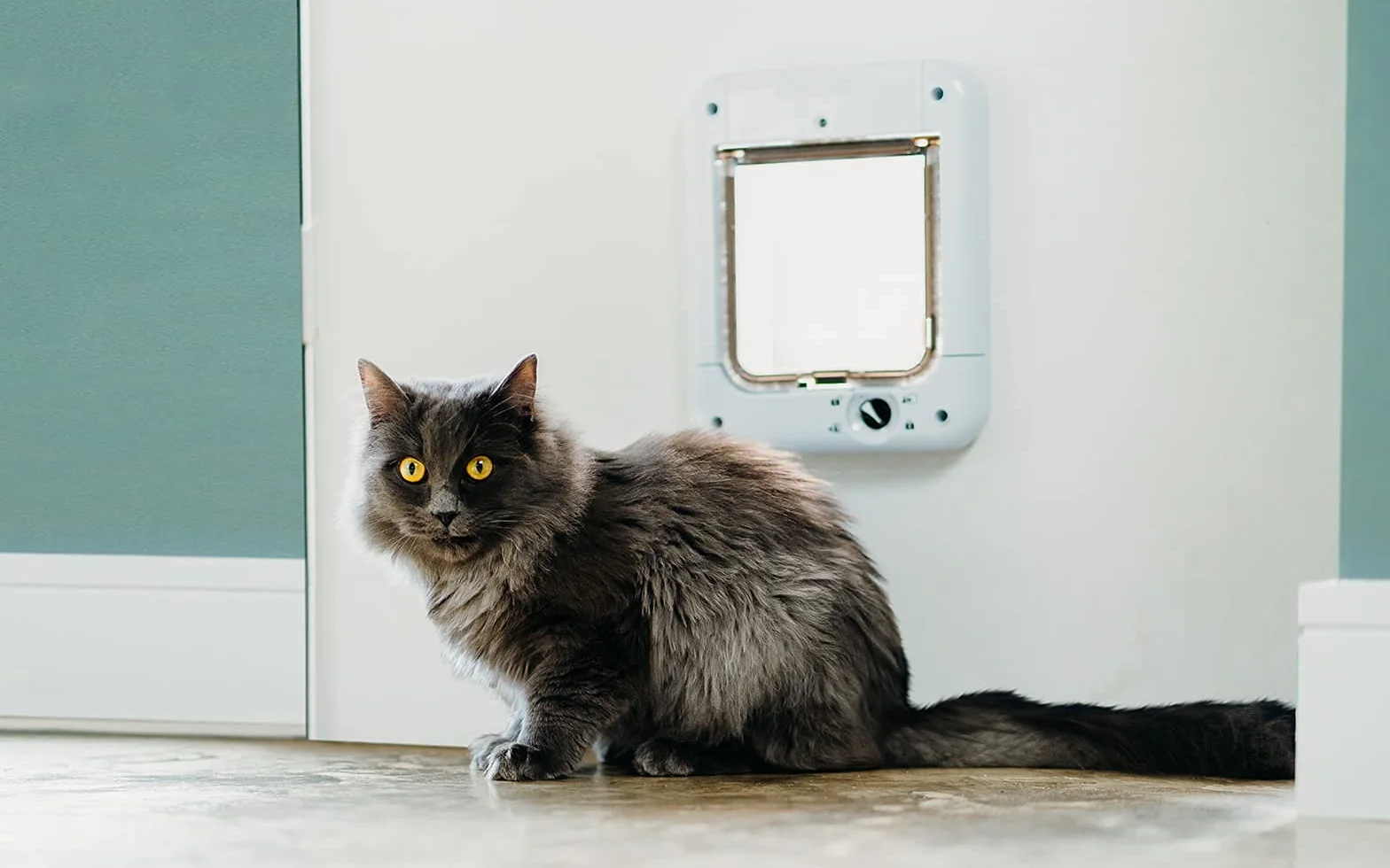 Pet Mate - Gateway Lettore di Microchip del Gatto