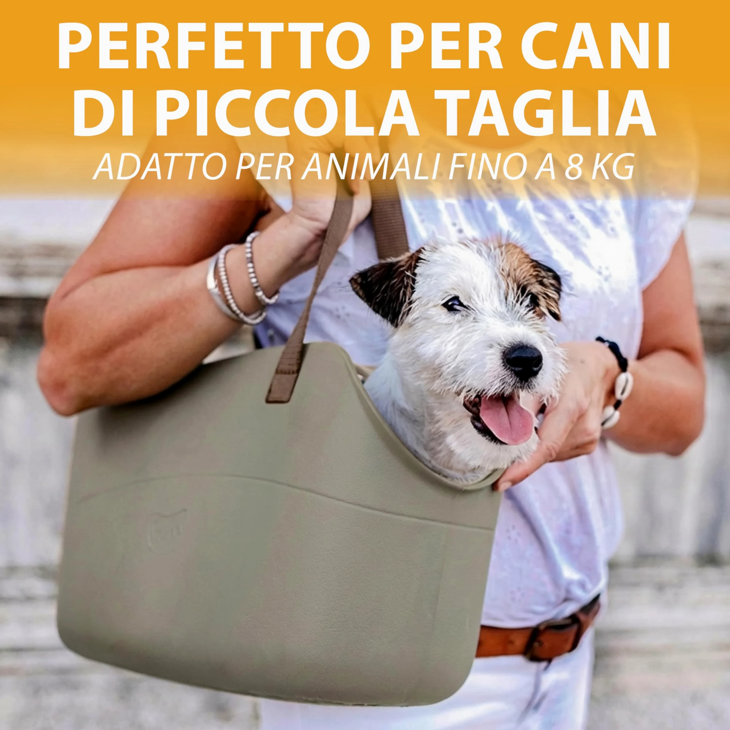 Ferplast Borsa per Cani fino a 8 Kg. Trasportino Gatti in Plastica Gommata, Impermeabile e Lavabile, Manici Regolabili, Cinghia di sicurezza, 43,5 x 21,5 x h 27 cm. Tortora