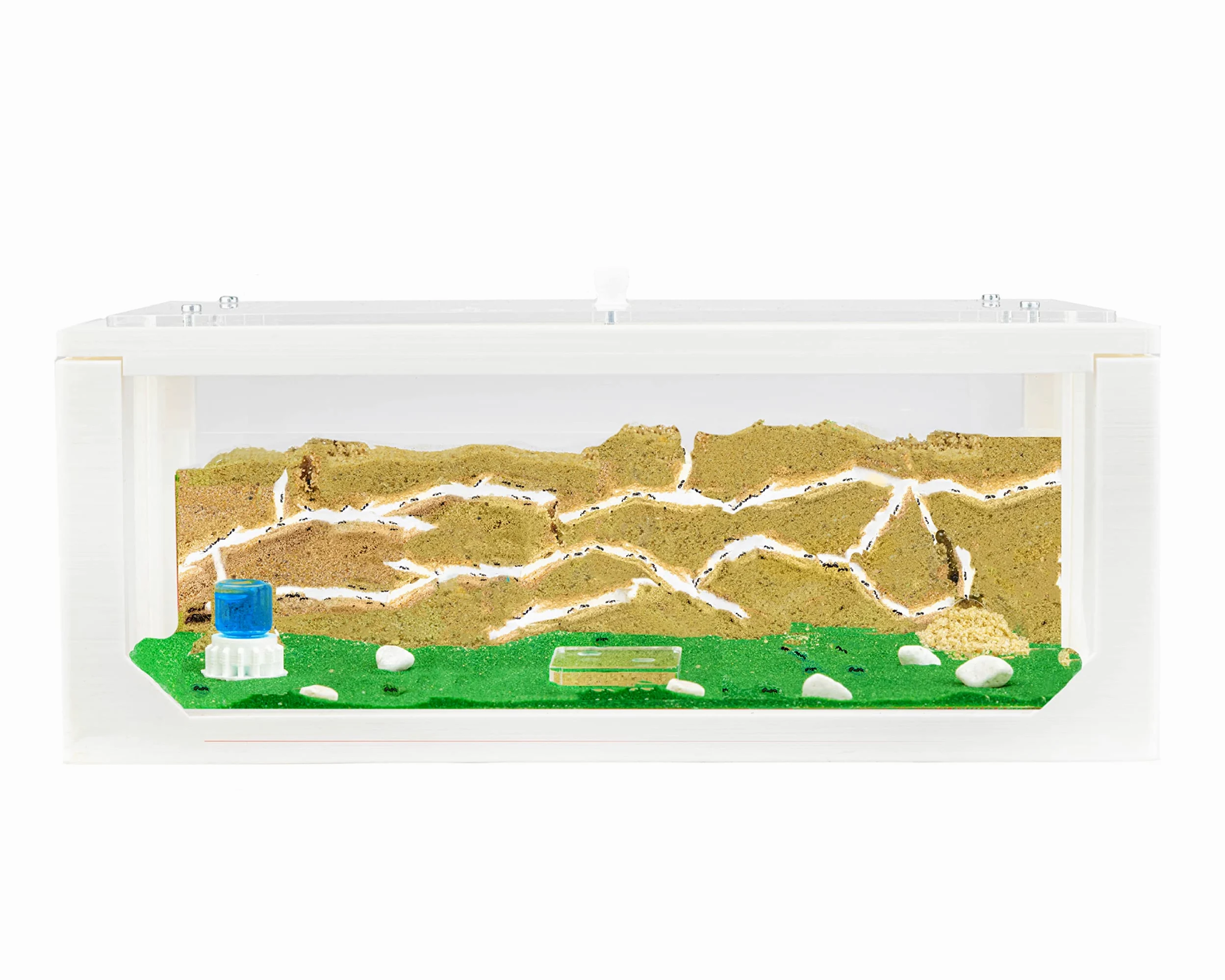 AntHouse - Fattoria di formiche di sabbia naturale | Starter Set 3D Bianco Grande 30x15x10 cm | Compreso il formicaio