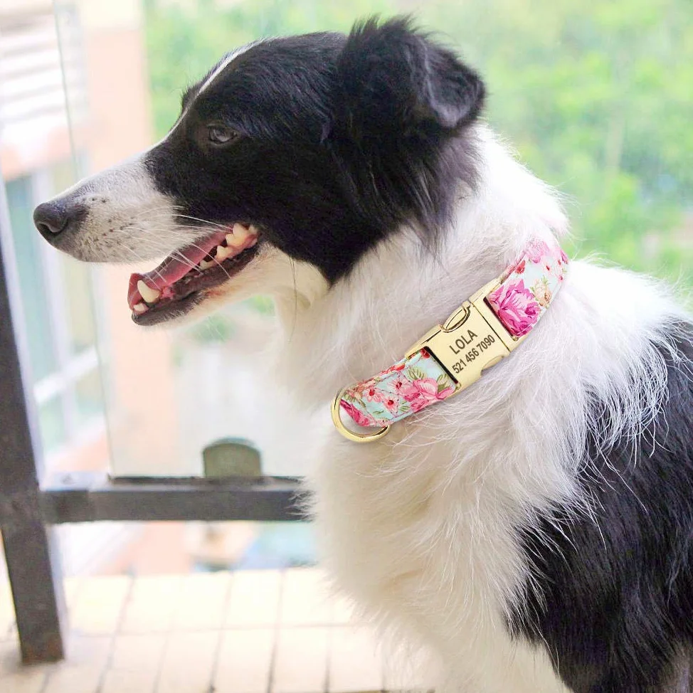 Collare per cane Collare personalizzato con targhetta per cuccioli di animali domestici Collari personalizzati per cani di taglia piccola in nylon con incisione Regolabile per cani di taglia me
