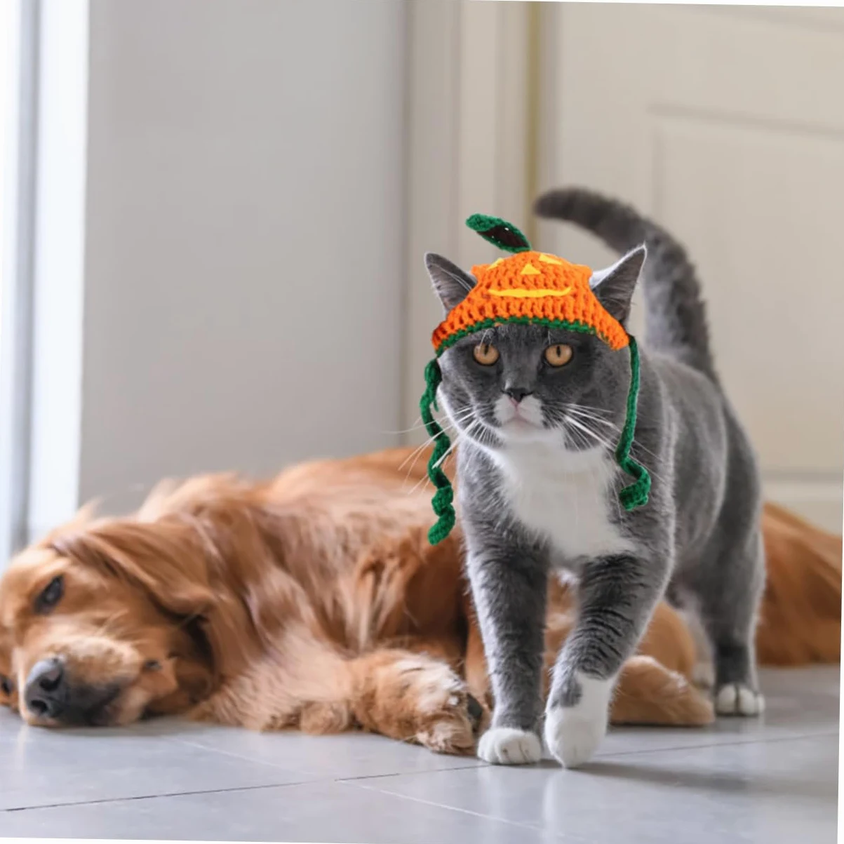 Sosoport 3 Pezzi Cappello Per Animali Domestici Di Halloween Cappello Esclusivo Per Animali Domestici Di Zucca Fatto A Mano Per Gatti