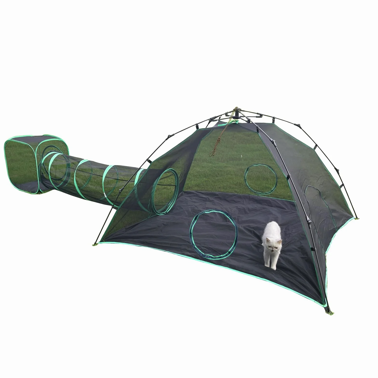 Pawtenda Recinzioni per gatto 3 in 1, portatile, per esterni, con 1 tenda a cupola, 1 tunnel dritto e 1 cubo, box all'aperto per gatto, conigli e altri animali