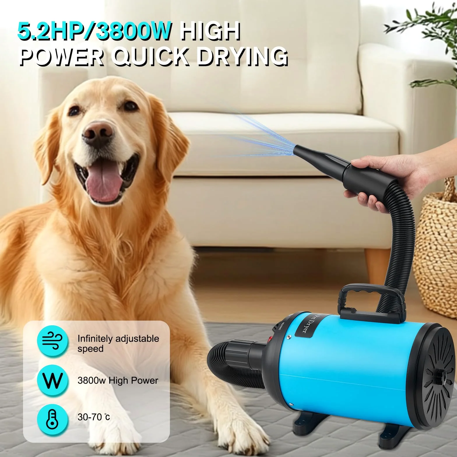 Asciugacapelli per cani, asciugacapelli per cani, 3800 W/4,5 CV, asciugacapelli professionale per la cura del pelo, regolazione continua della velocità, a basso rumore, con 4 diversi ugelli, tubo