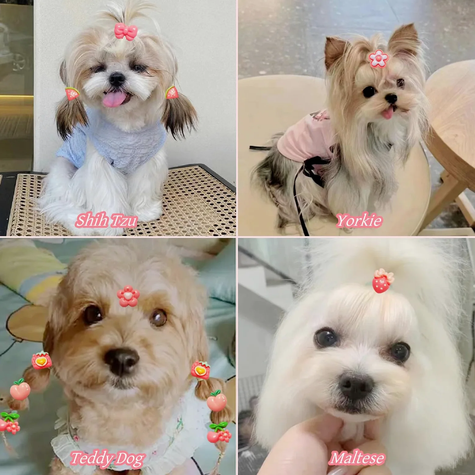 20 fiocchi per capelli per cani, fiocchi per cani di piccole dimensioni, accessori per cani per ragazze, fermagli per capelli per cani, con elastici, accessori per cani, Yorkie, Shih Tzu