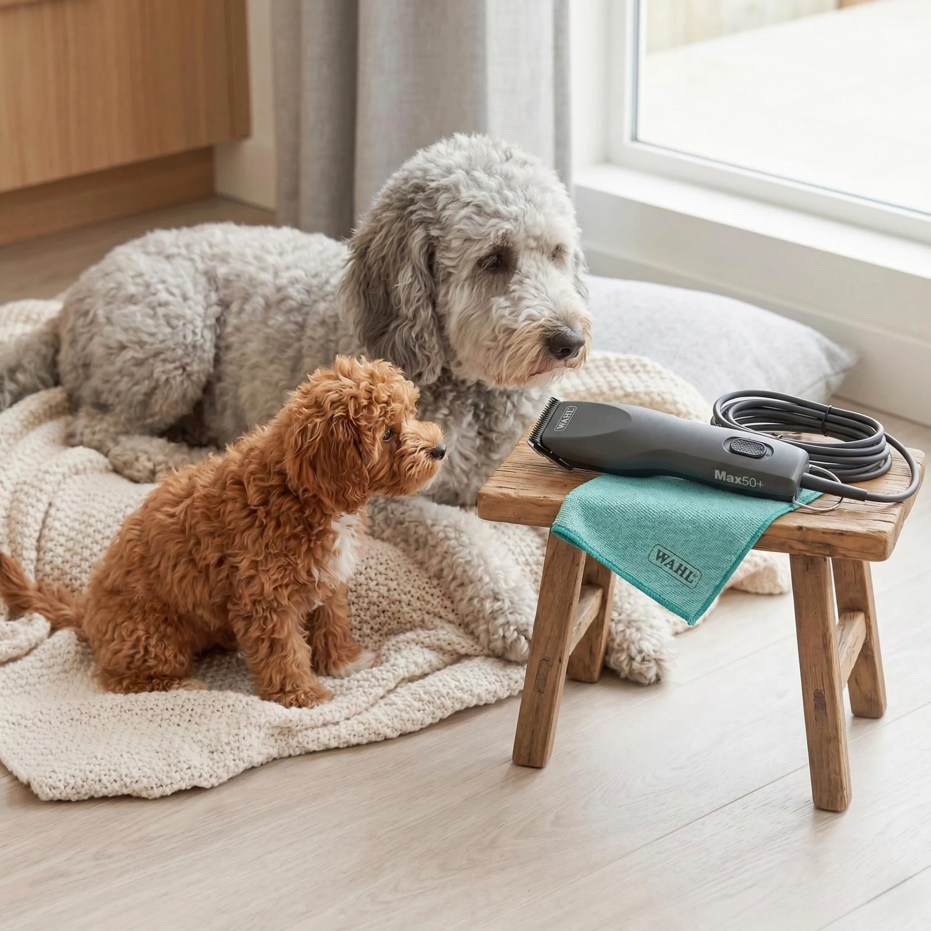 Agrarzone Edition Wahl Max 50+ tosatrice cani e gatti - Potente e silenziosa con 2 velocità, Set rialzi incluso - Moser Max 50 ideale per tutti i tipi di pelo, Professionale e made in Germany