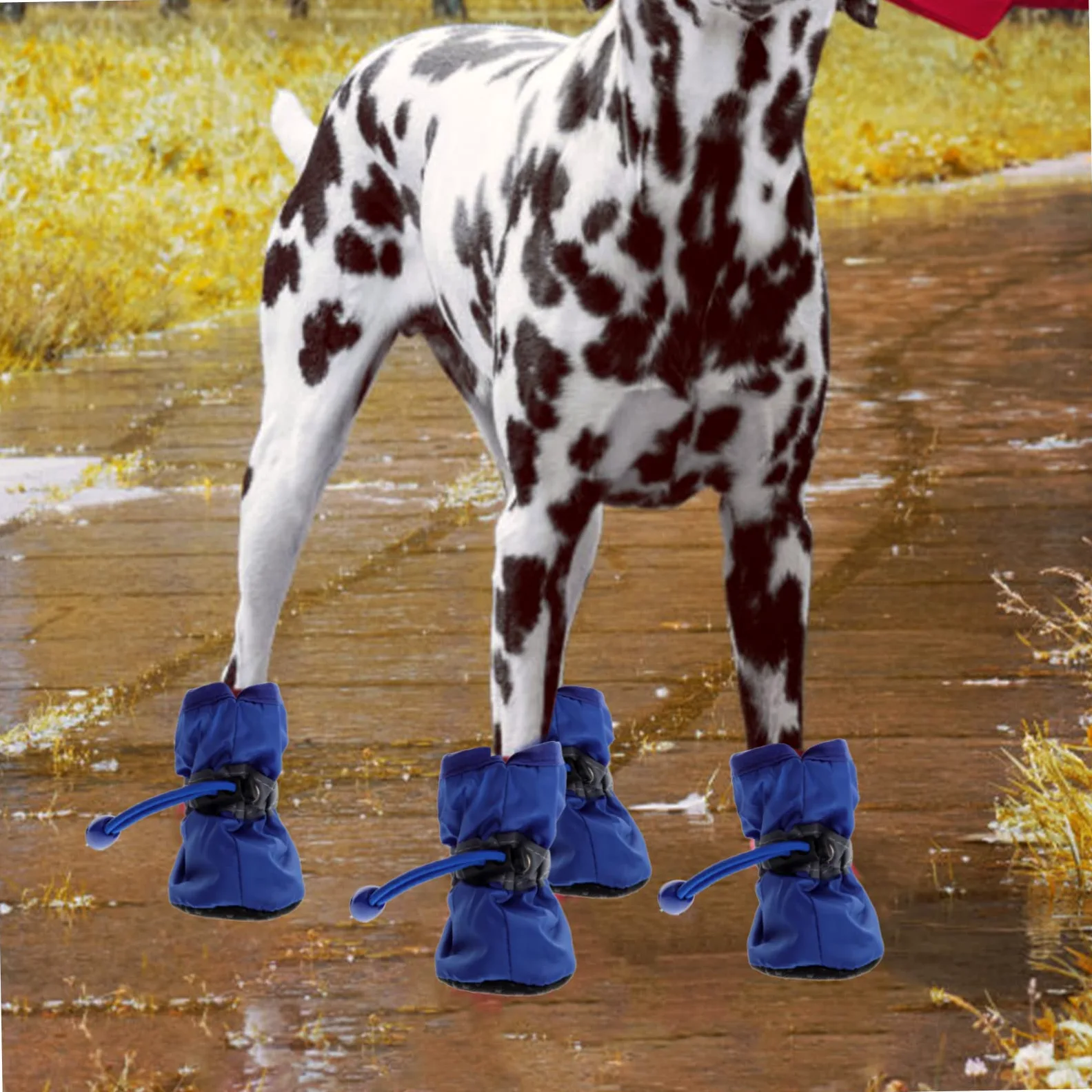SUPVOX 9 Set Stivali per Cani da Compagnia Puppy pupphub Calzini Invernali per Animali Domestici Scarpe da Cucciolo Resistenti all'Acqua Stivali da Pioggia Scarpe per Animali Domestici