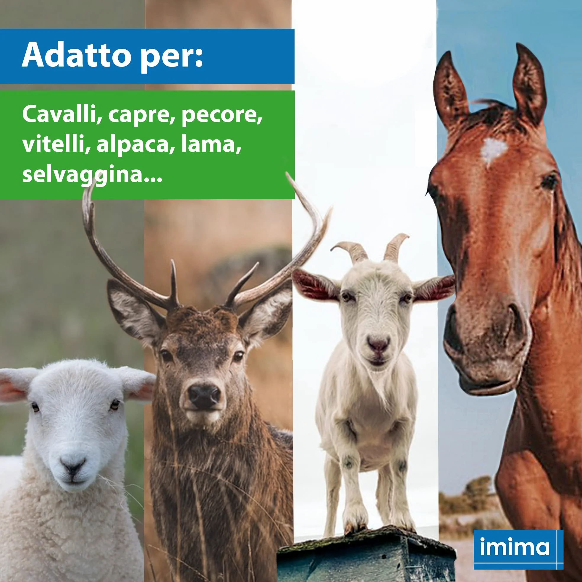 Mineral Lick Horse PREMIUMBLOCK Set di pietre saline 4 x 3 kg - Pietre saline per cavalli, pecore, capre, selvaggina e bovini - Pietra minerale per leccare il sale