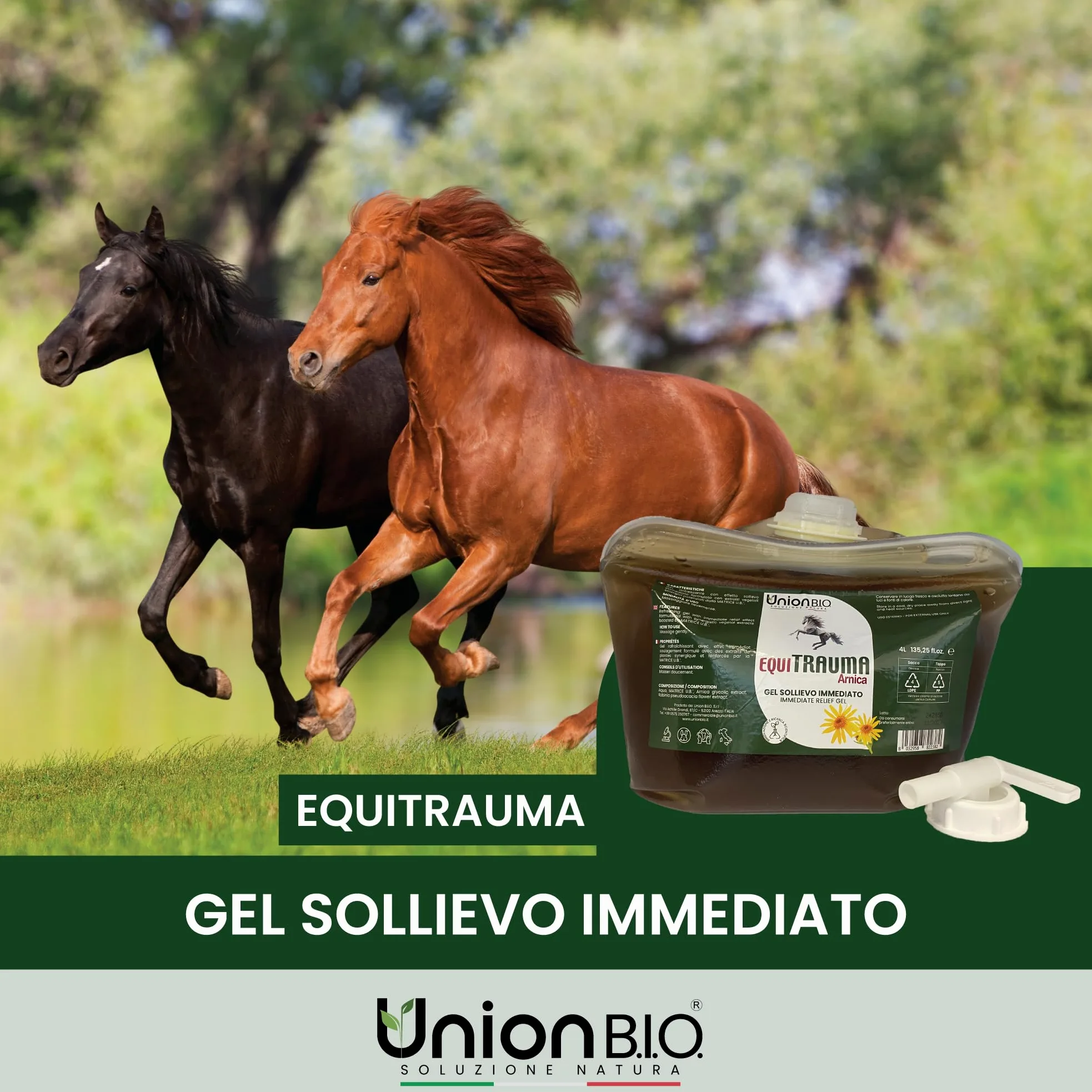 UNION B.I.O. SOLUZIONE NATURA Equitrauma Gel Arnica Montana per Cavalli e Uso Umano 4LT