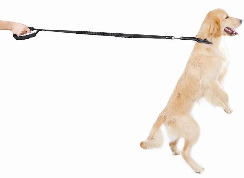 Guinzaglio per Cani Bungee, Guinzaglio per Animali Domestici Bungge Che Assorbe Gli Urti con 2 Maniglie di Controllo, Riflettente per Una Camminata Notturna più Sicura