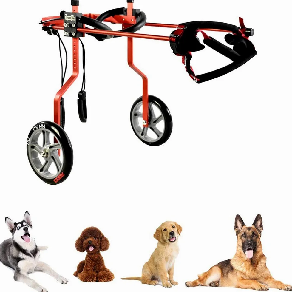 Carrellino per Cani Disabile Gatto Coniglio Cuccioli Ferito, per La Riabilitazione delle Zampe Posteriori E dei Piedi di Cani E Gatti Disabili di Peso Inferiore A 1.5 kg