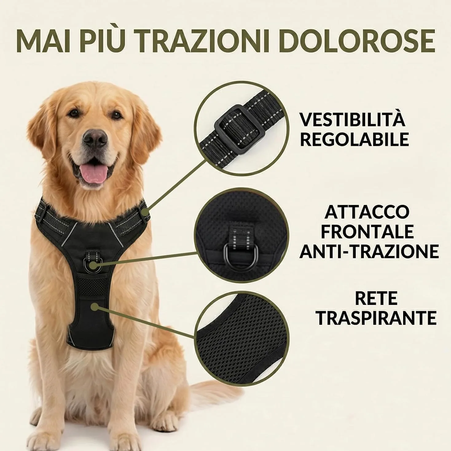 Cosyrae Pettorina anti-tiro