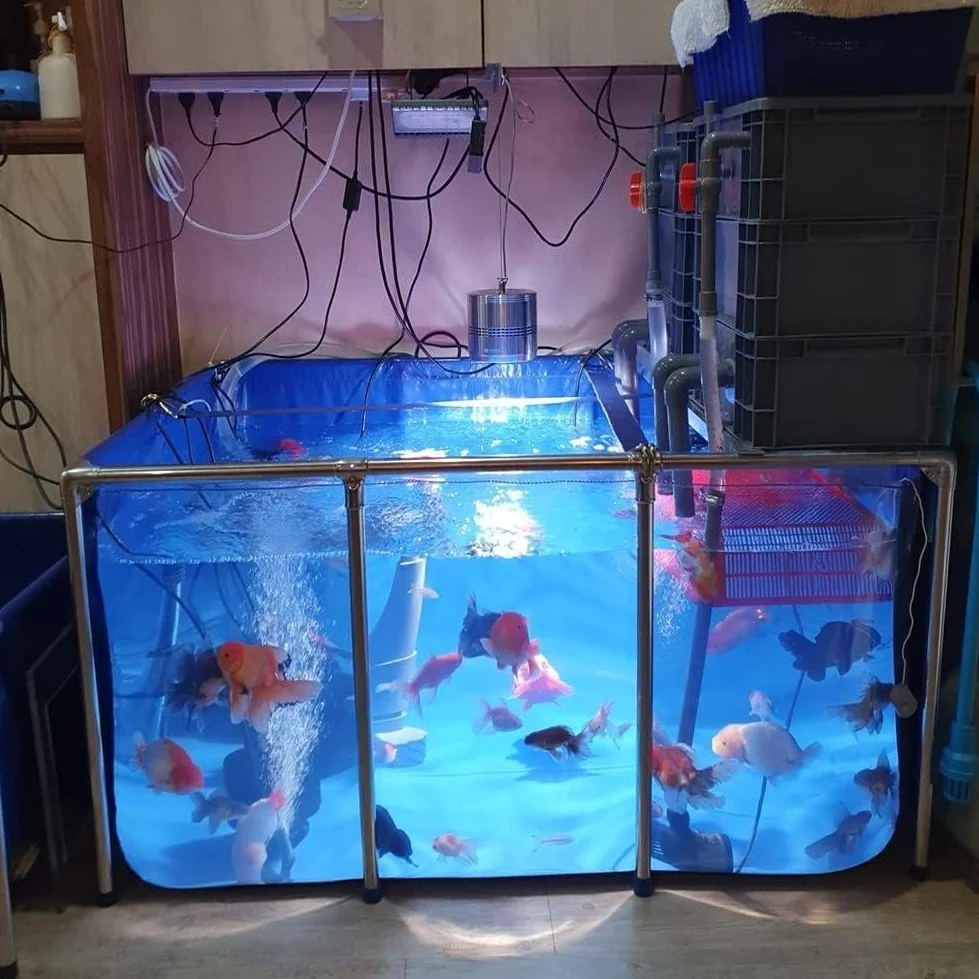 Kit di filtri per acquario, sistema di ciclo dell'acqua a 3 livelli per acquari e stagni, facile da pulire, montaggio rapido, ideale per acqua dolce e salata, soluzione di filtraggio efficiente