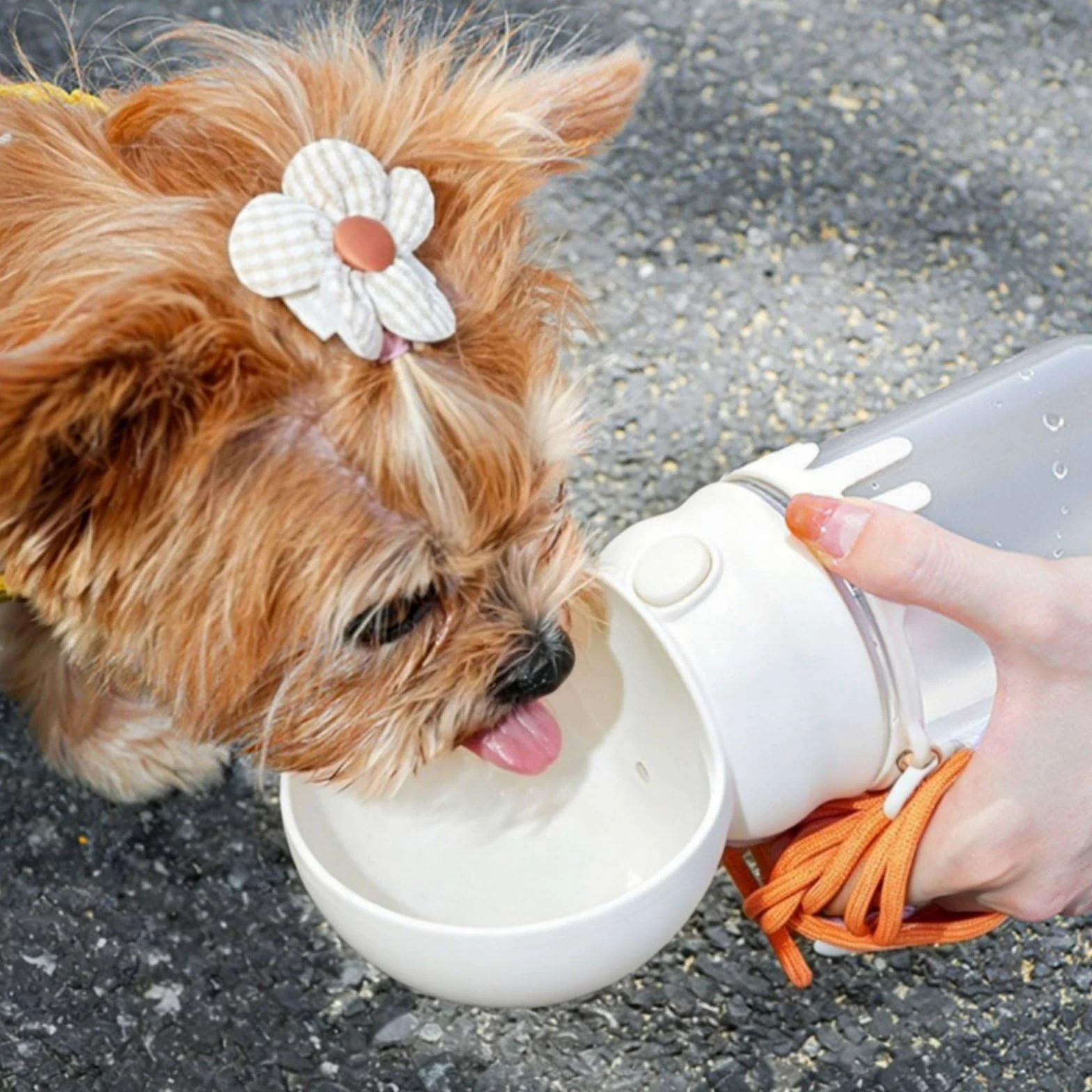 predolo Bottiglia Acqua Cane Portatile Leggera Borraccia 2 in 1 con Ciotola per All'aperto, Bianco, Con Tracolla