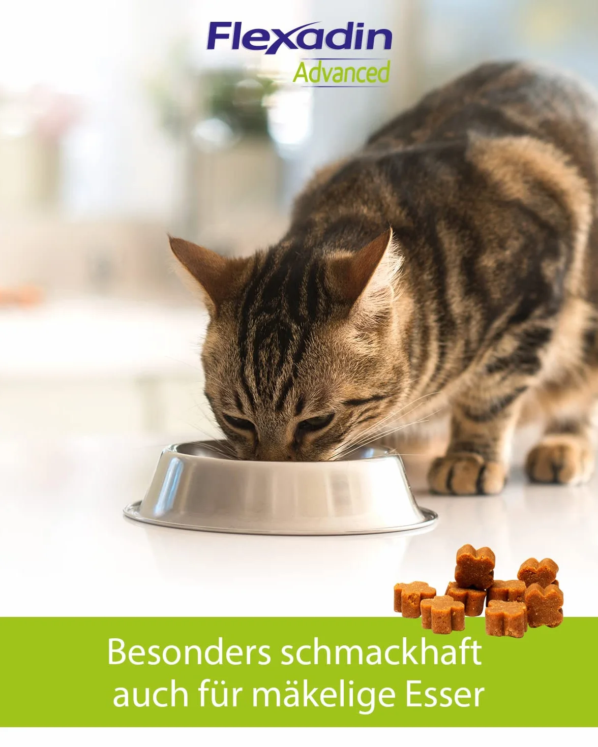 FLEXADIN ADVANCED® Gatto |Approccio innovativo alla salute articolare | Collagene non denaturato Tipo II – 60 Gelenkleckerli
