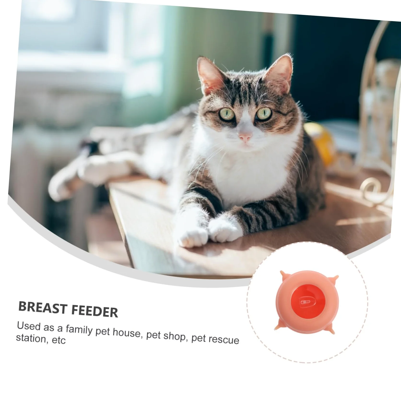 Biberon per Allattamento per Cuccioli e Gattini, in Silicone Rosa, Leggero e Riutilizzabile, Facile da Pulire, per Piccoli Animali | Mangiatoia per Cuccioli, Facile da Riporre, Accessorio per Animali Domestici, per Gattino