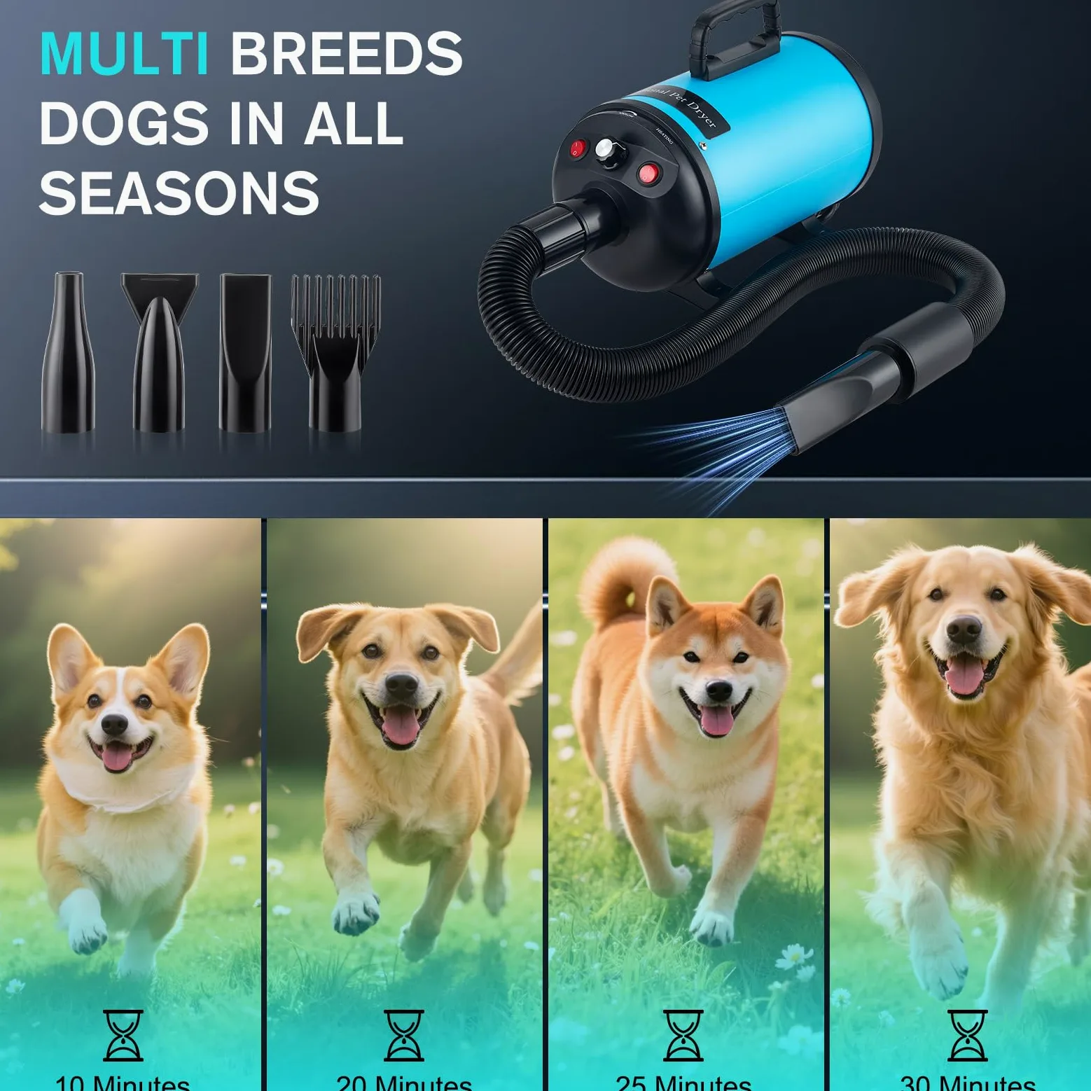 Asciugacapelli per cani, asciugacapelli per cani, 3800 W/4,5 CV, asciugacapelli professionale per la cura del pelo, regolazione continua della velocità, a basso rumore, con 4 diversi ugelli, tubo