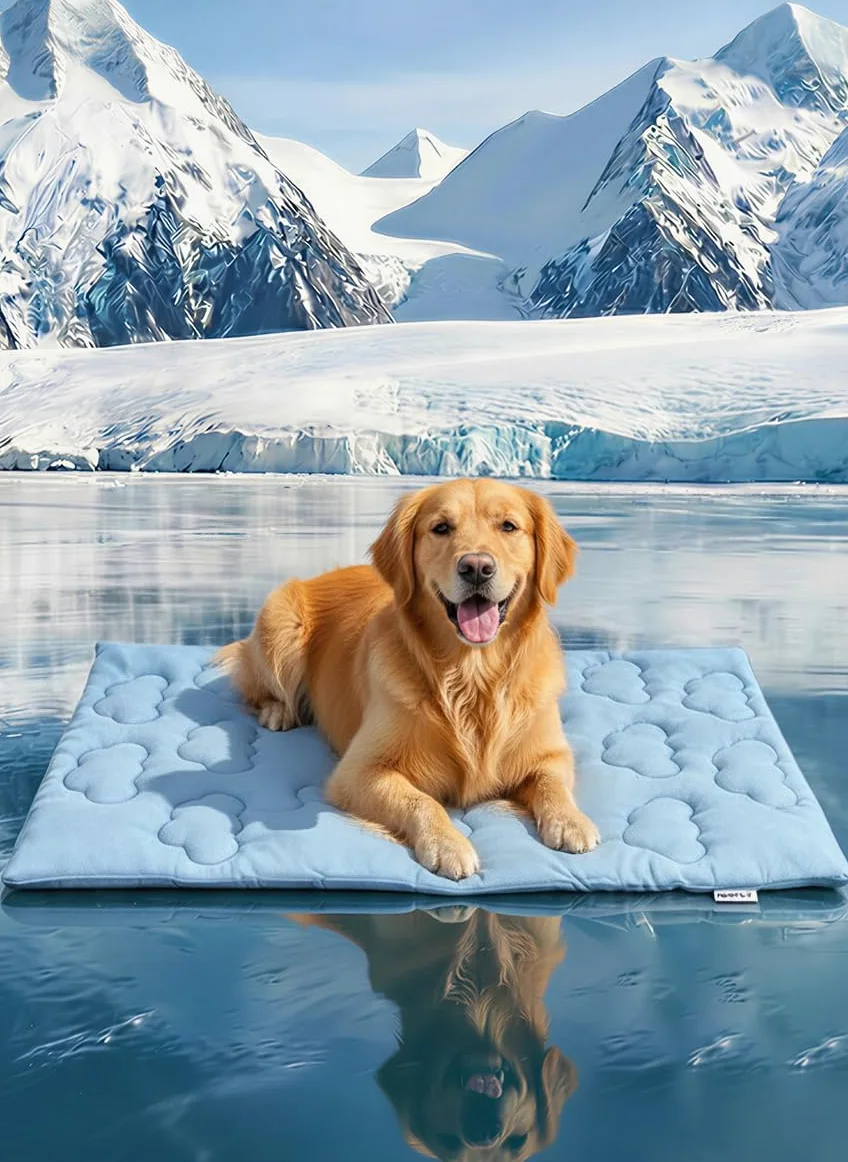 Huafly Tappetino di raffreddamento per cani, lavabile in lavatrice, tappetino di raffreddamento per cassa (XL-150 cm x 102 cm)