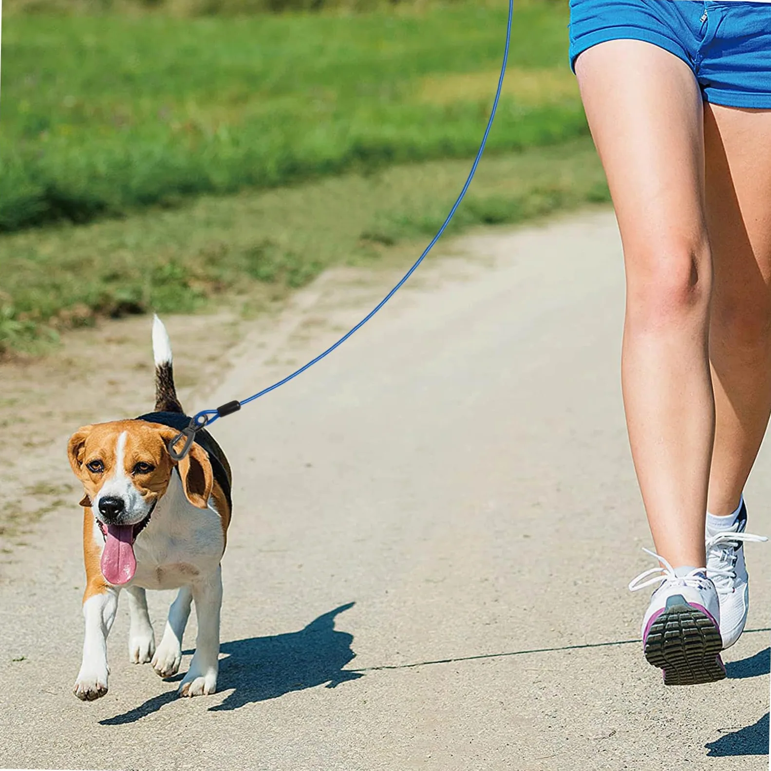 Guinzaglio Addestramento Cane Corda in Filo D'acciaio Blu | Doppio Aggancio in Lega di Zinco, Rivestimento Pvc, Leggero e Delicato sulla Pelle