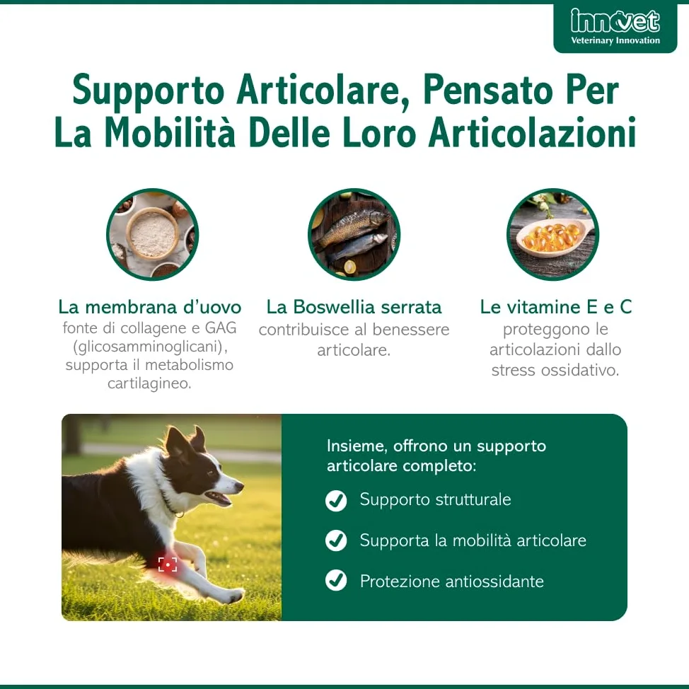 Innovet Condrostress Mobility per Cani Adulti e Anziani Che Soffrono di rigidità articolare – 60 Soft Chews – Supporta Il metabolismo cartilagineo e la Mobilità