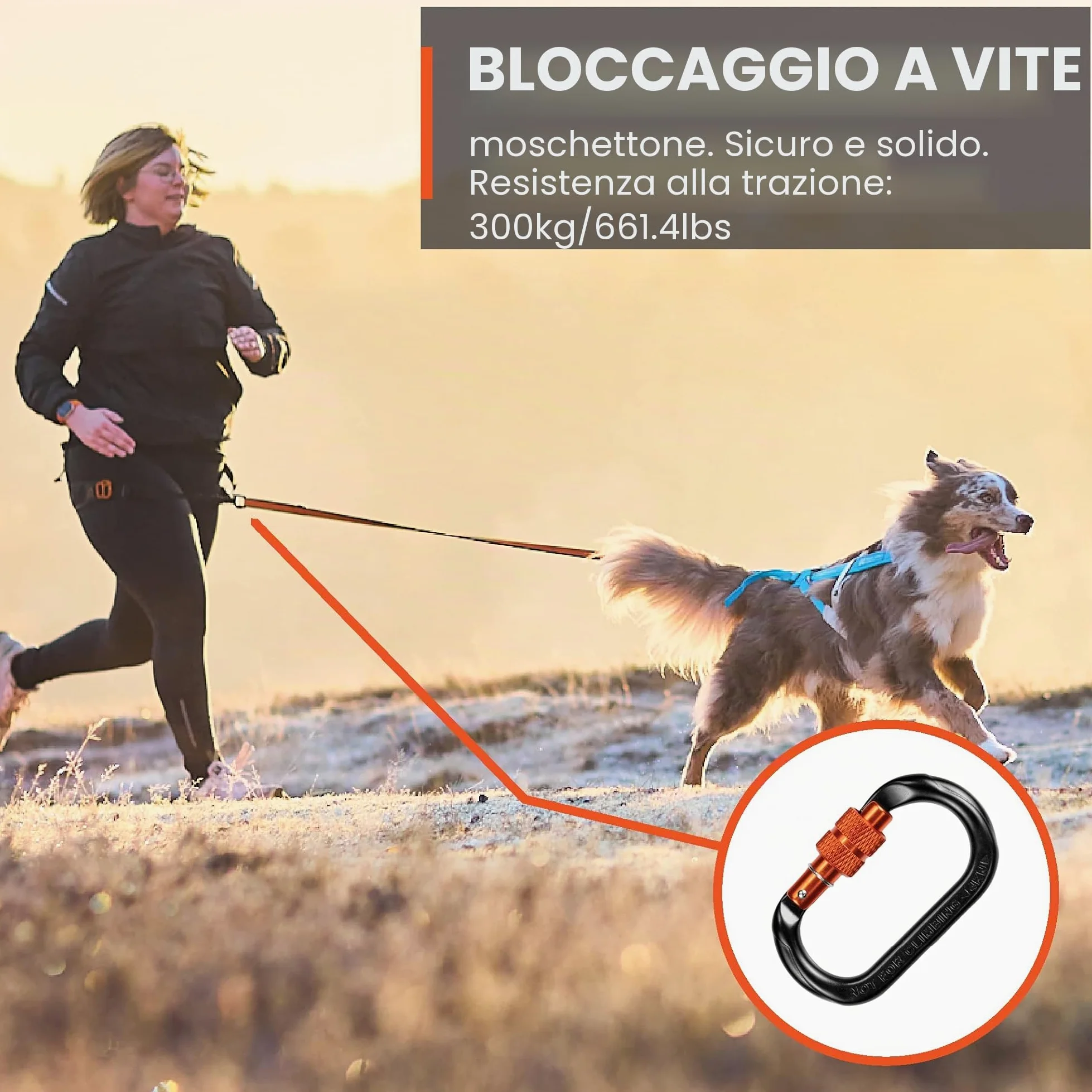 Non-stop dogwear Tenda CANIX, 123X, massima sicurezza, peso minimo, taglia: M