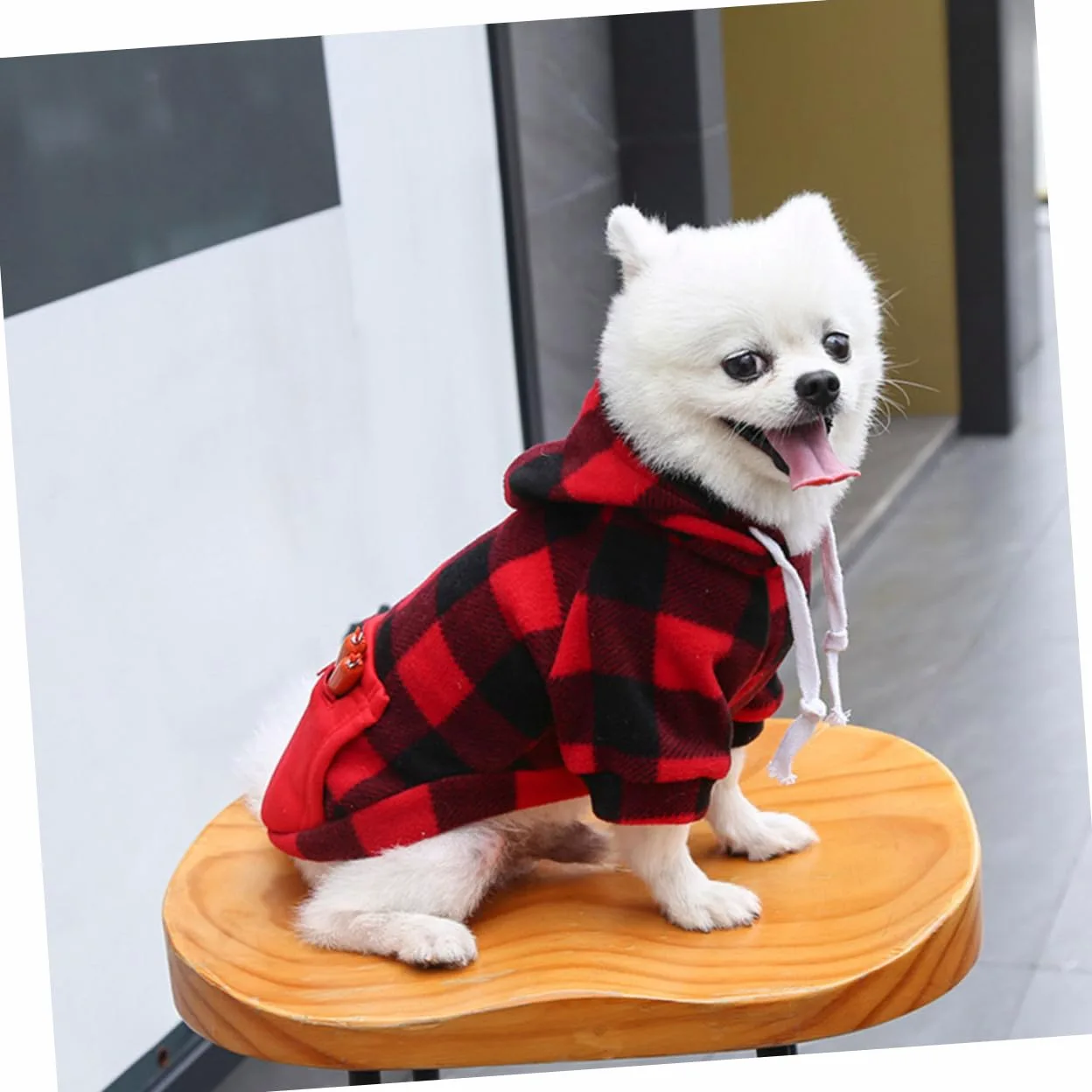 Sosoport 3 Pezzi Costume Natalizio Per Animali Domestici Giacca Per Cani Di Cintura Abbigliamento Per Cani Alla Moda E Pratico Per Natale