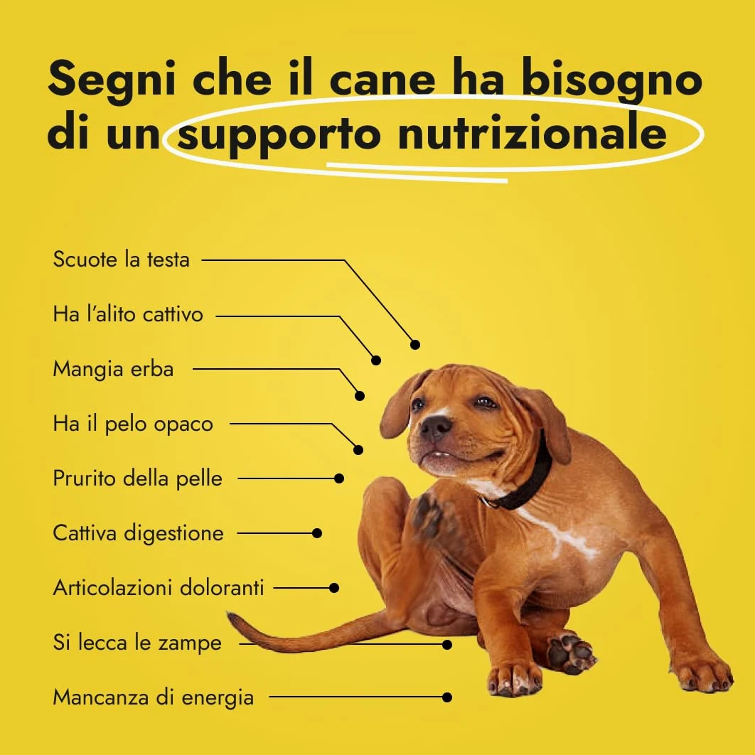 Canine Booster – Integratore per Cani Adulti con Cozza Verde, Curcuma e Probiotici per Articolazioni, Digestione, Pelle, Pelo e Sistema Immunitario (1x 150 g)