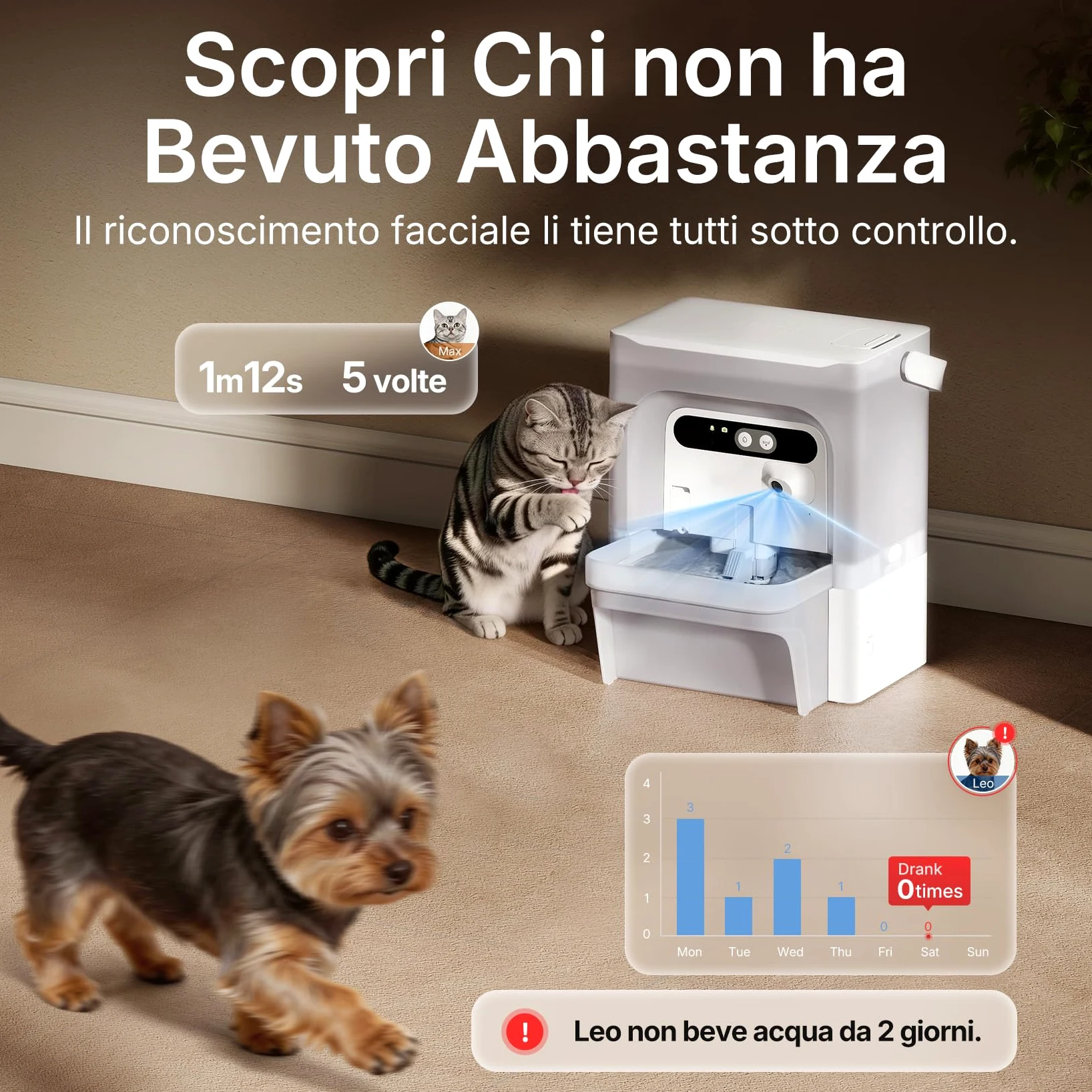 PETKIT EVERSWEET ULTRA Fontanella Intelligente per Gatti 5L, Riconoscimento AI, Controllo App, Ultra Silenziosa 26dB, Separazione Acqua Pulita/Sporca, Vassoio Acciaio Inox, Lavabile in Lavastoviglie