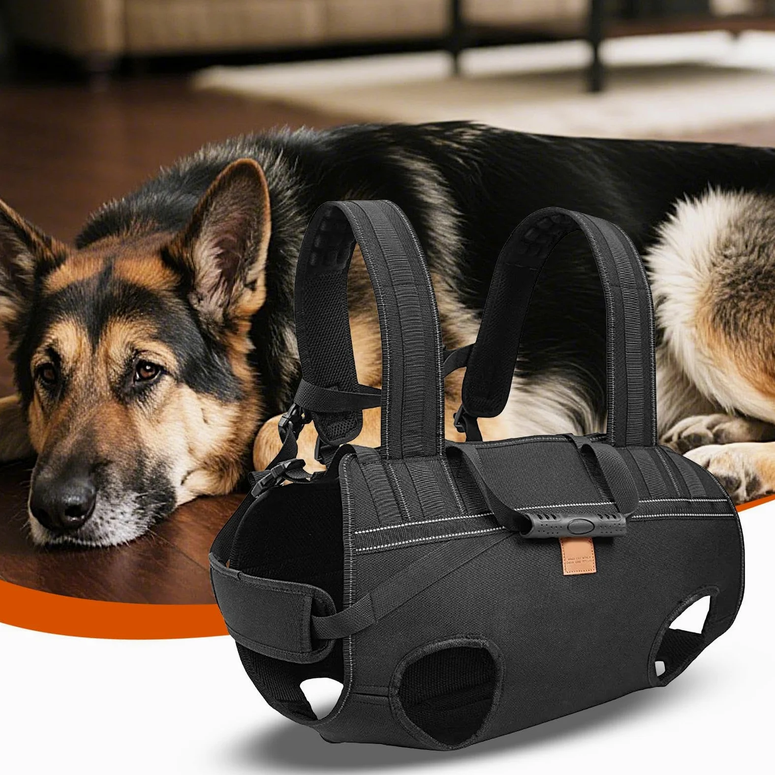 Imbracatura Per Sollevamento Cani Fascia Di Trasporto Regolabile | Imbracatura Di Sostegno Canino Per Anziani Riabilitazione Mobilità Razze Grandi Passeggiate Quotidiane Viaggio