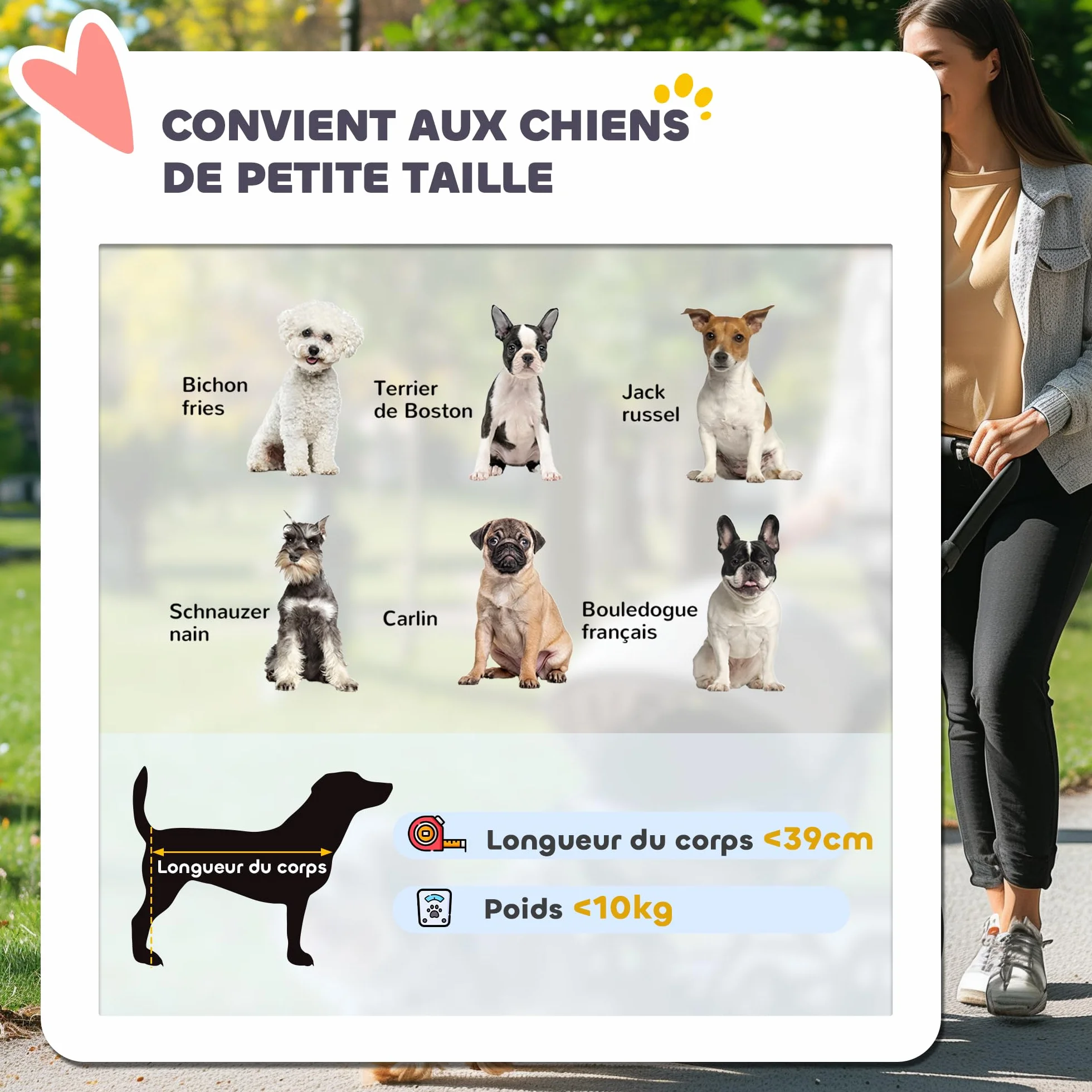 PawHut Carrozzina per cani pieghevole in un click, carrozzina per gatti con cestino portaoggetti, cuscino lavabile, guinzaglio di sicurezza, grandi ruote in gomma e capottina regolabile, grigio